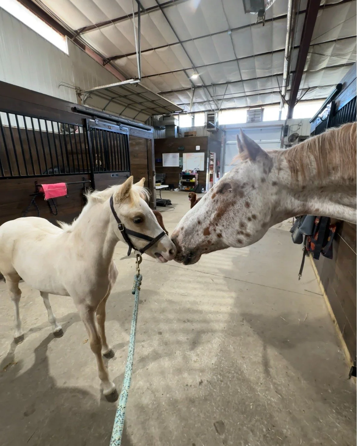 &ldquo;Hi, I&rsquo;m still new here!&rdquo;
#makingfriends