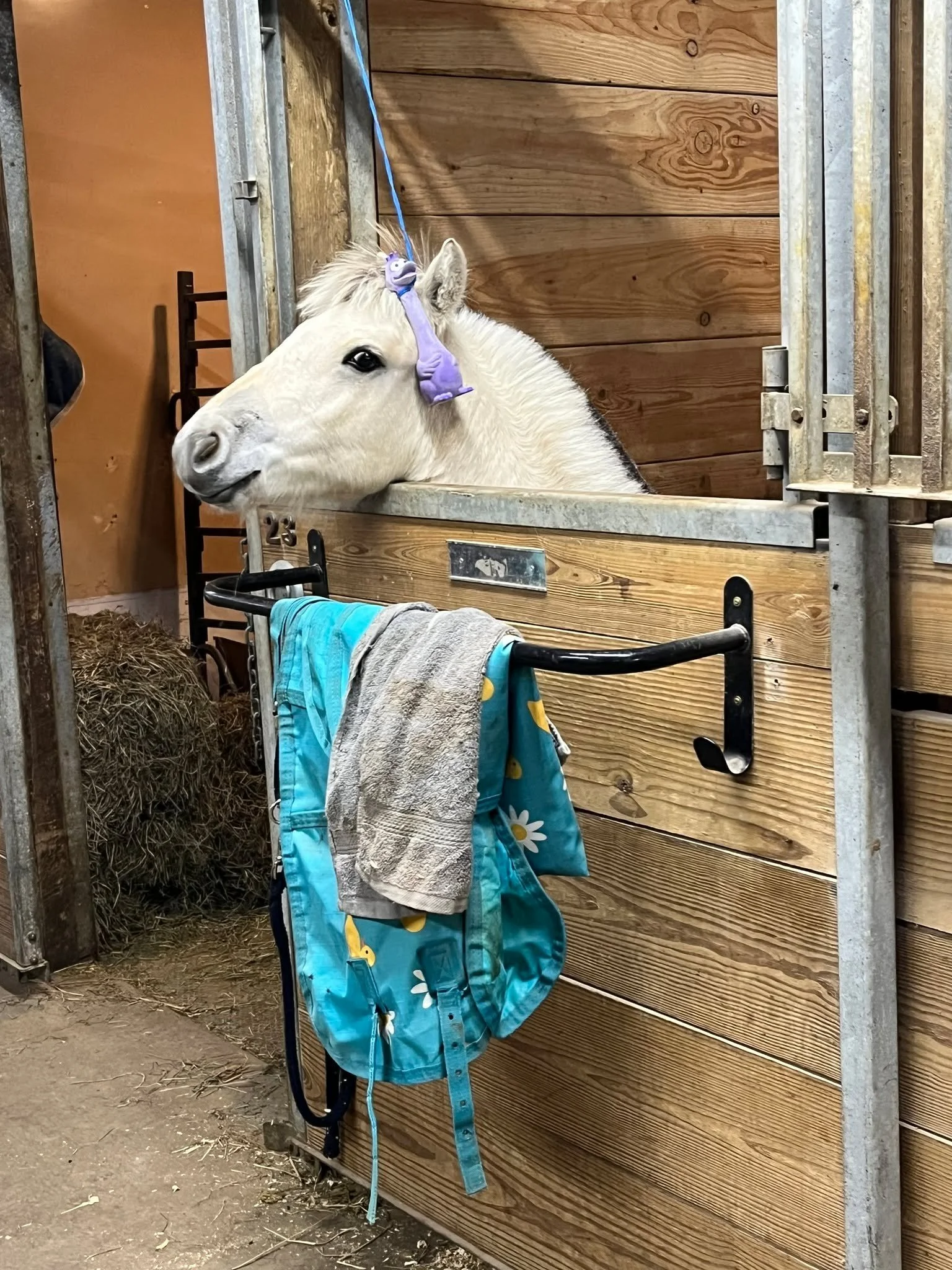 That face. We're grateful for moments like this every day.

Happy Thanksgiving!!