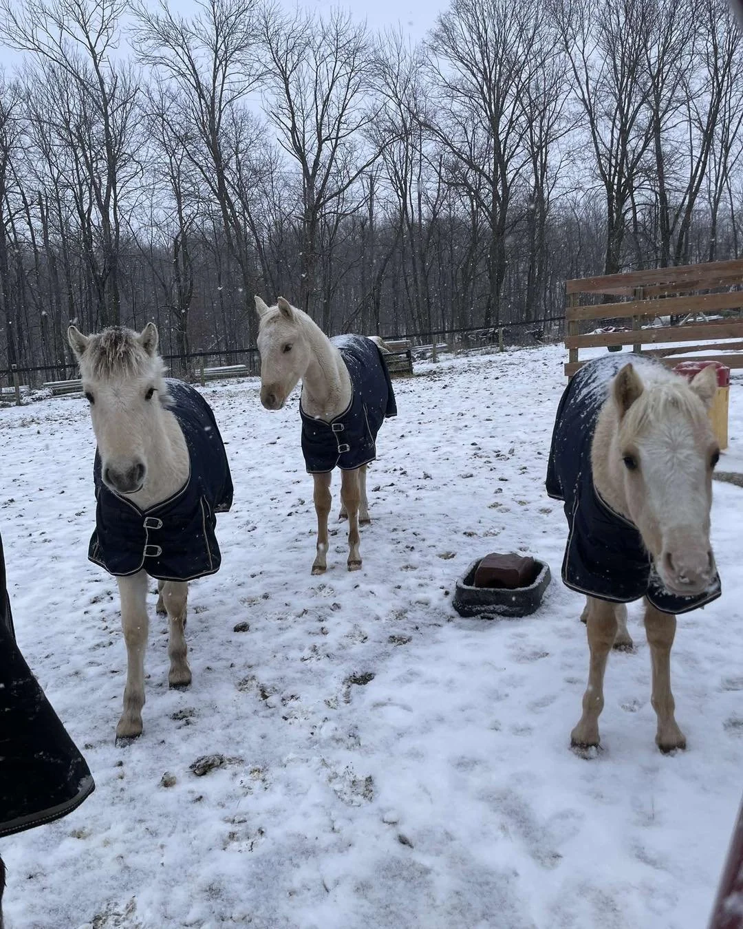 It&rsquo;s beginning to look a lot like Christmas!