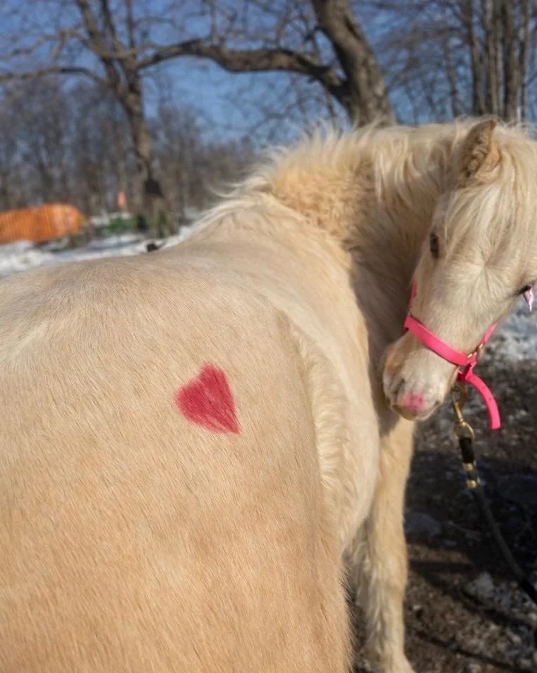 It&rsquo;s a Happy, Sunny Valentine&rsquo;s Day!!