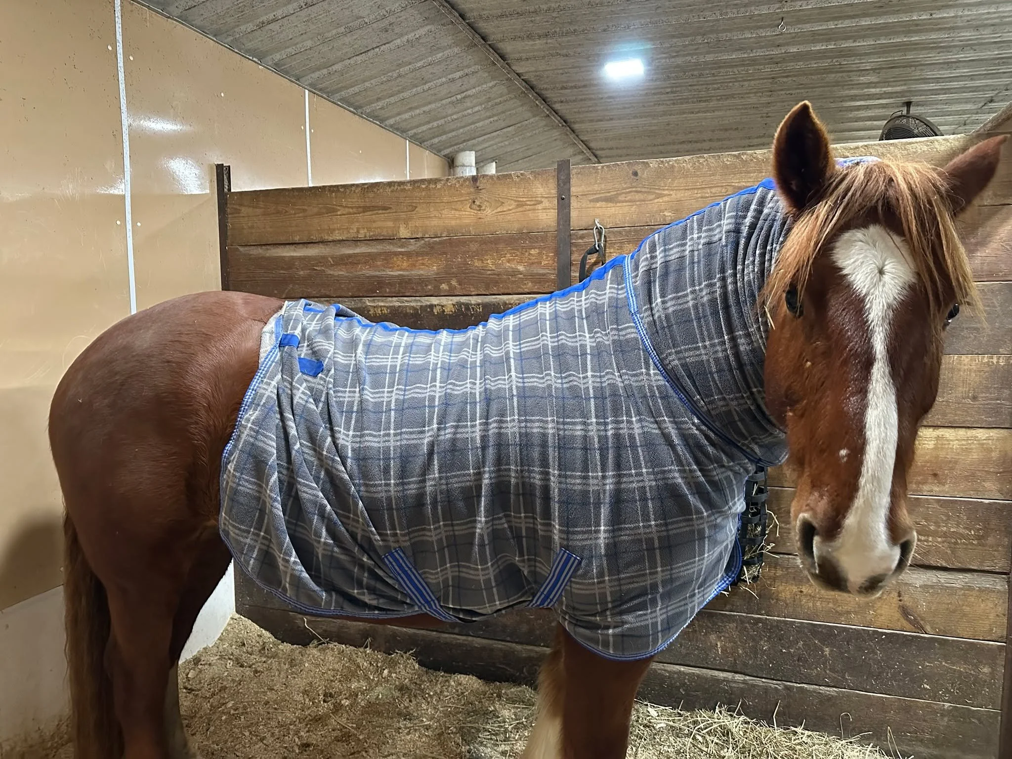 This feels more like a suggestion than a fit&hellip; I don't think this is how it&rsquo;s supposed to look.