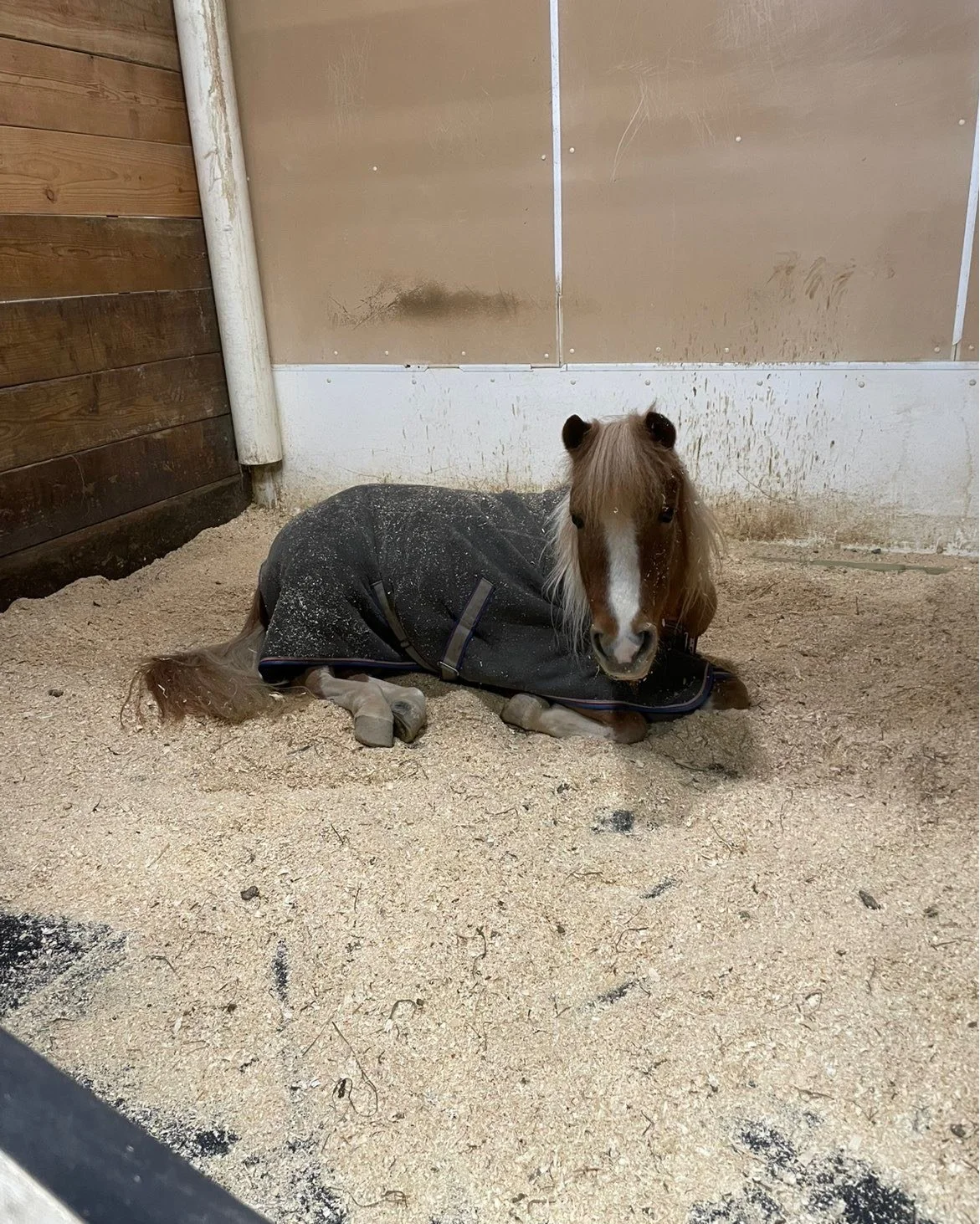 All tucked in, warm, and cozy for the night!