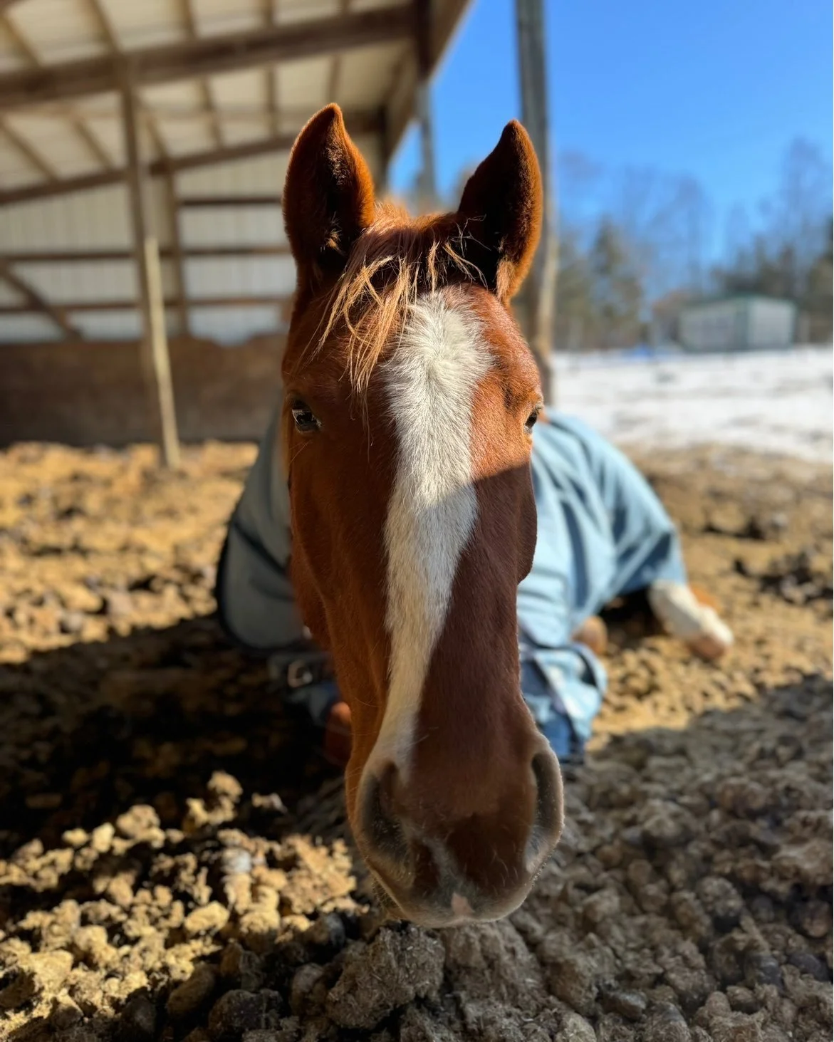 Lazy afternoons done right.