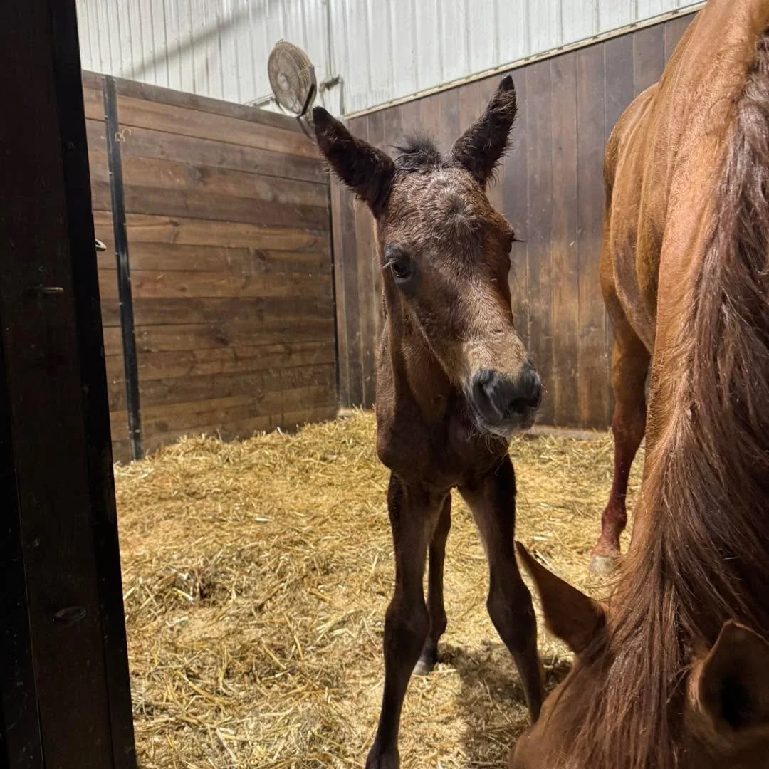 We have a baby, finally! 

She&rsquo;s going to be a beauty.