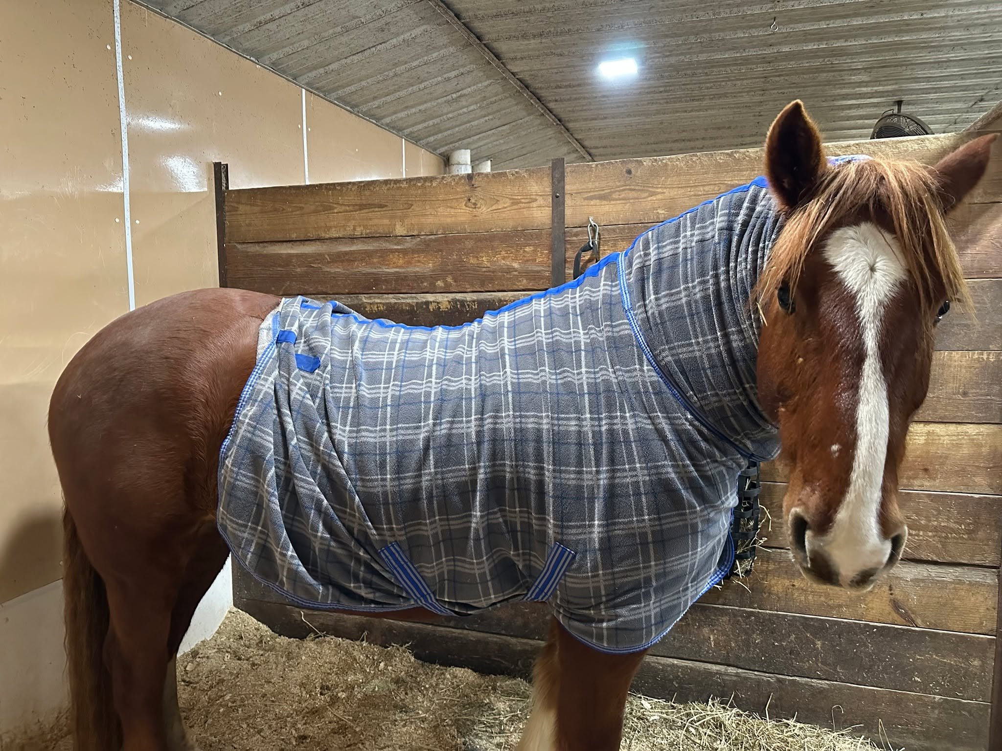 This feels more like a suggestion than a fit&hellip; I don't think this is how it&rsquo;s supposed to look.