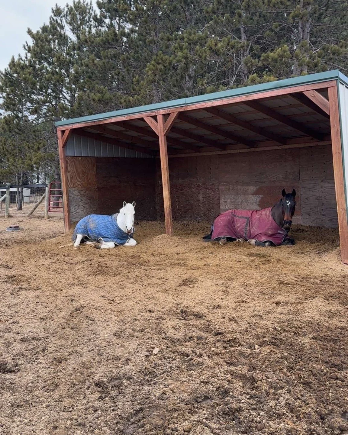 Quiet, chilly morning nap time.