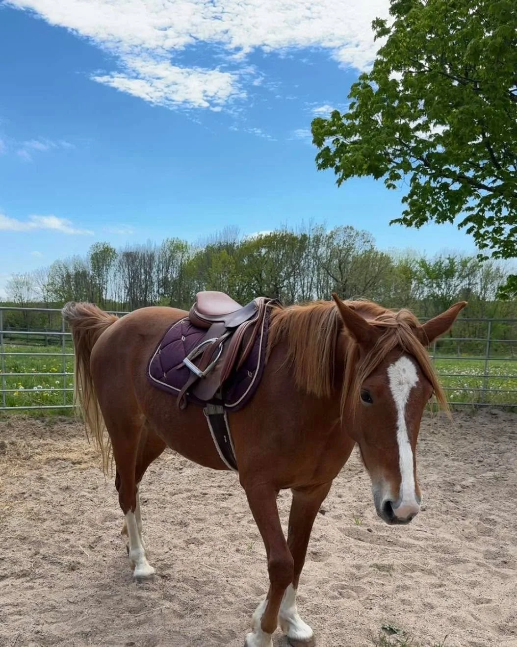 Sage is being a big girl today!