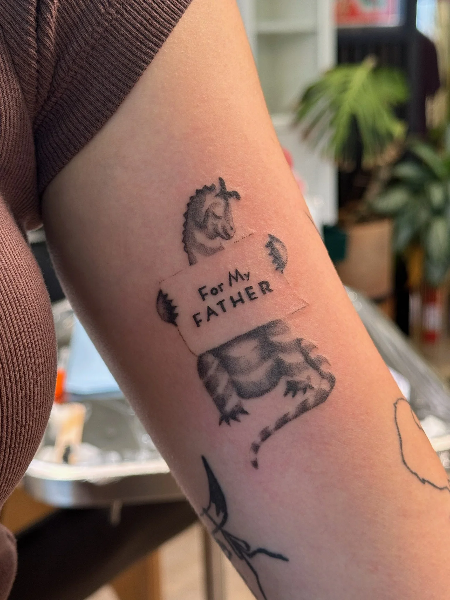 For My FATHER from the children's book "My Father's Dragon"