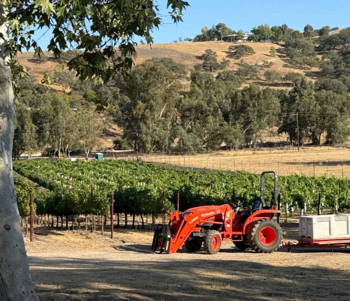 Orange Kubota tractor with loader attached, working in a vineyard with lush green vines, surrounded by trees and rolling hills under a clear blue sky.