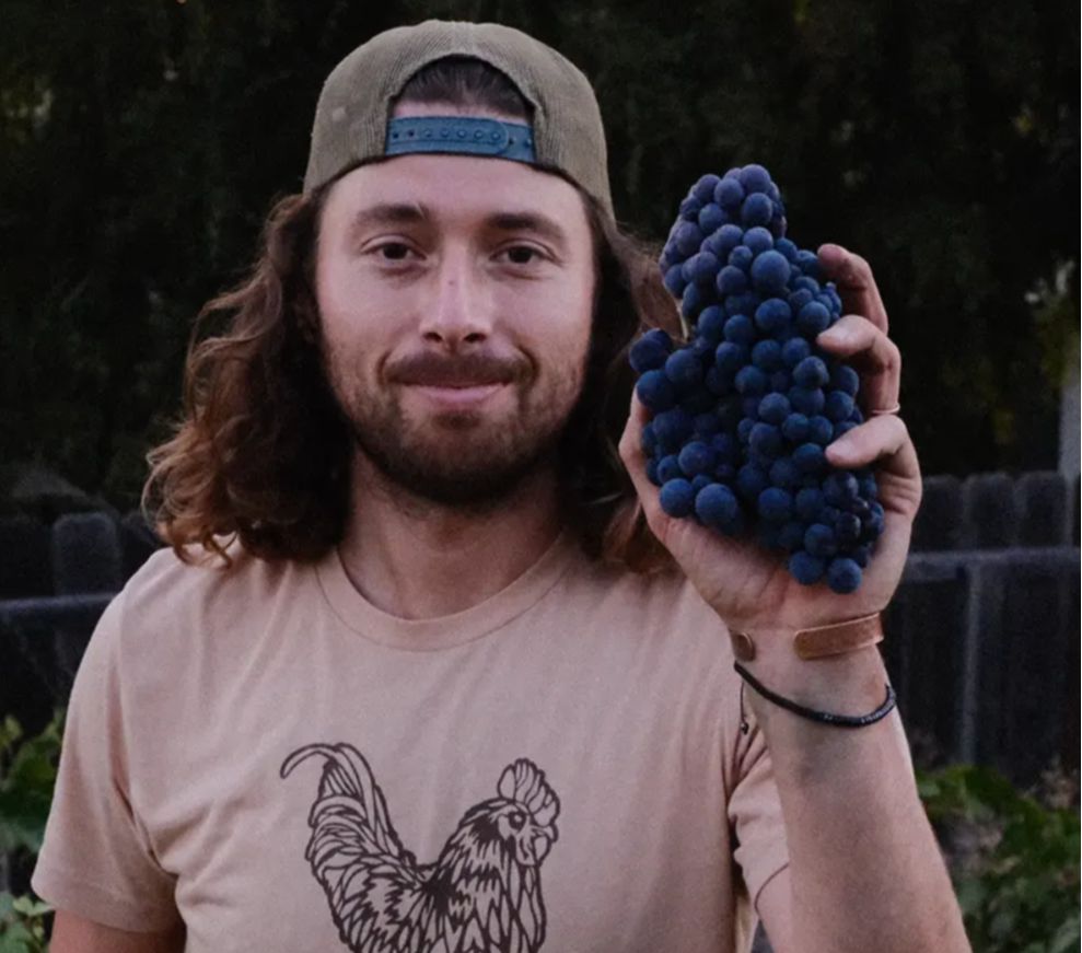 A man with long, curly hair and a beard, wearing a beige t-shirt with a rooster illustration, a backwards baseball cap, and a black bracelet, holding a bunch of dark blue grapes outdoors.