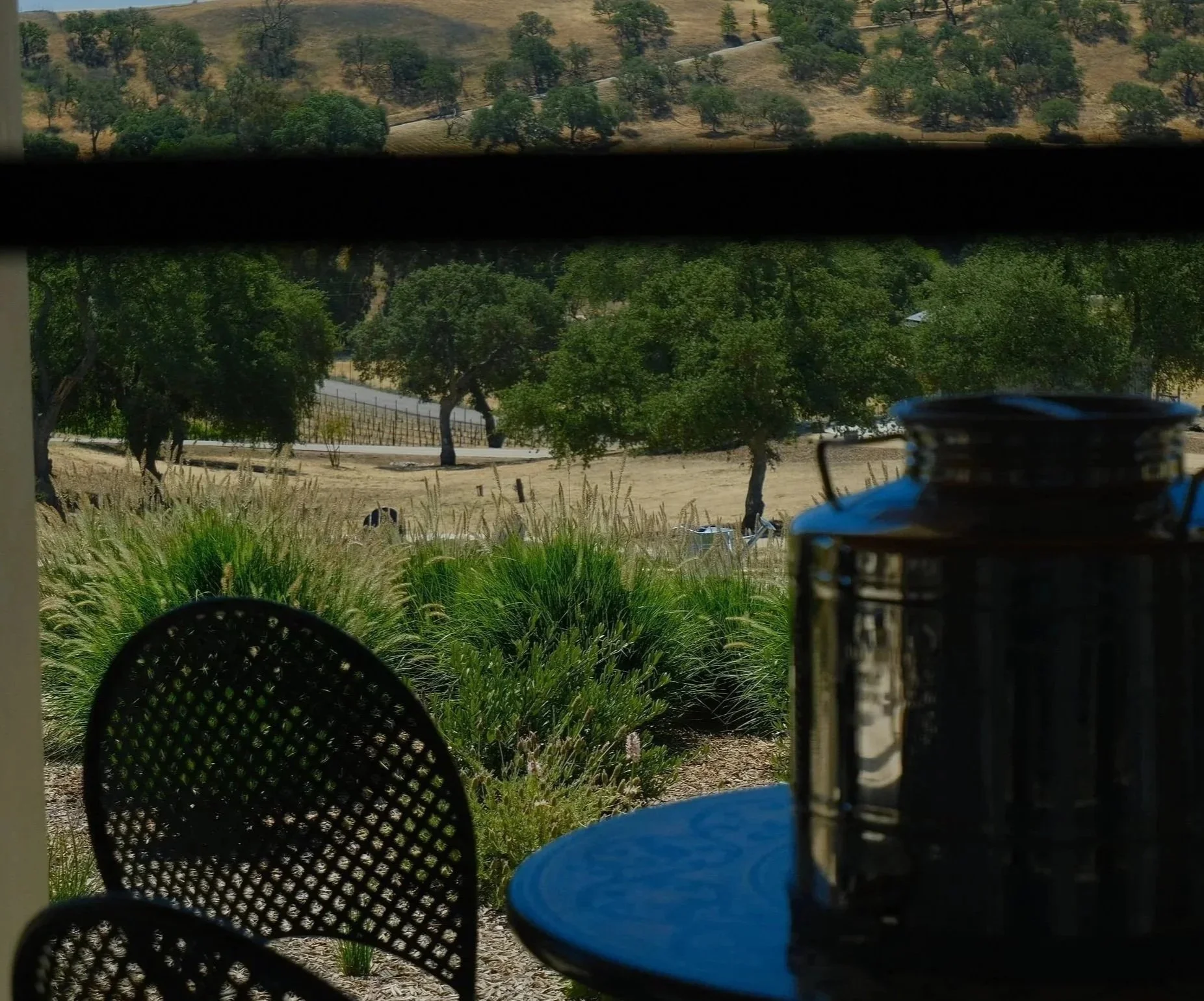 View through a window showing a countryside landscape with rolling hills, scattered trees, and some vineyard rows in the distance. There is a table and olive oil storage tin in the forground.