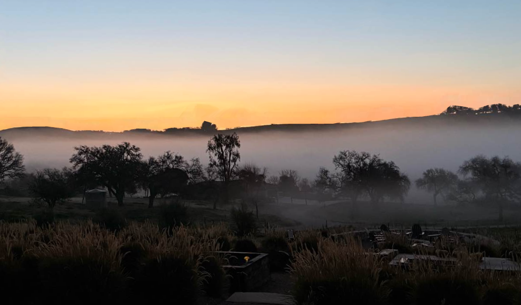 A landscape scene at sunset with rolling hills, scattered trees, and mist in the distance.
