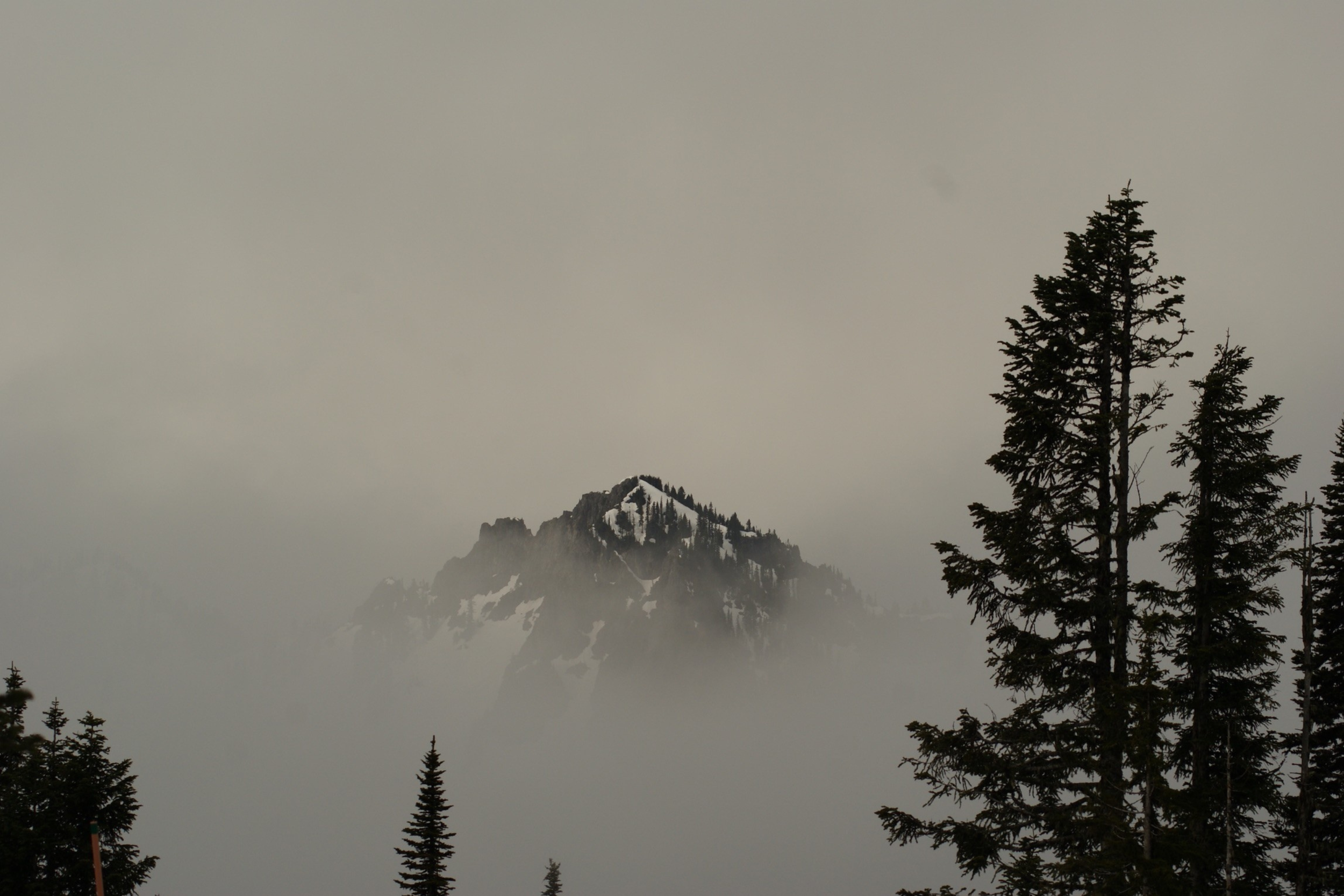 Morning Mist @ Mount Rainier NP
