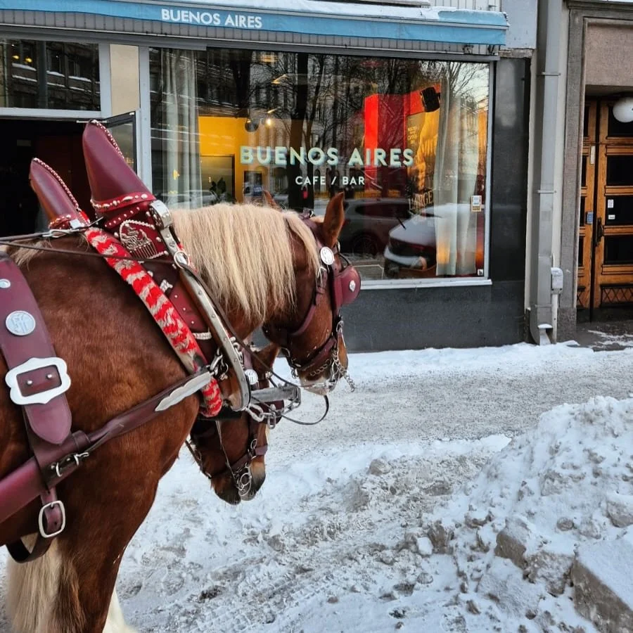 Mukavia vieraita Buenosilla 🐴❤️ @panimohevoset 

#buenosairescaf&eacute;bar #sinebrychoff #panimohevoset #talvi #eerikinkatu
