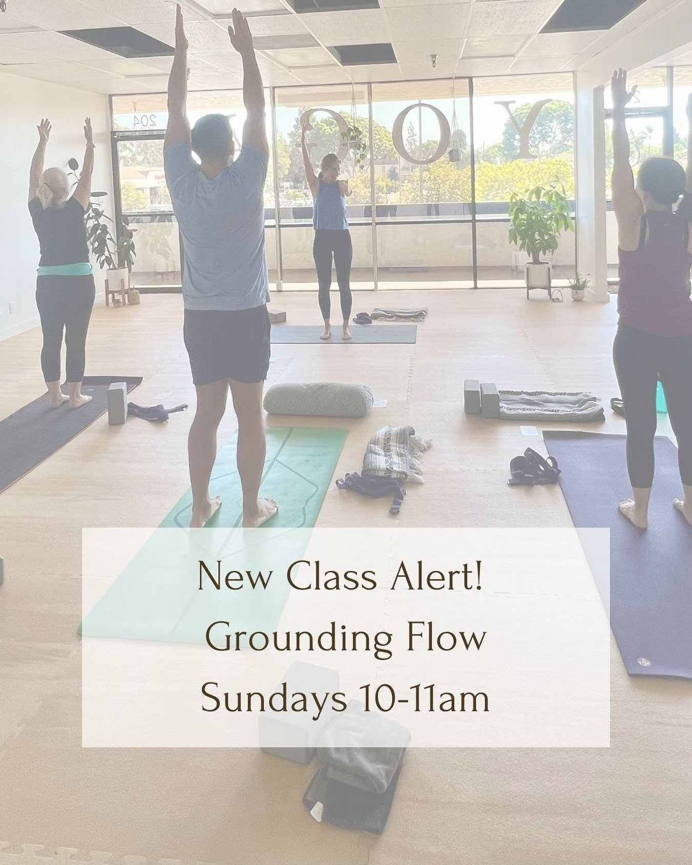 ✨New class alert!✨ Sunday morning, 10-11am: Grounding Flow with Lyndy! This vinyasa flow style class will build strength by finding supportive alignment and activation. You will use breath to guide movement and have the opportunity to use props to ex