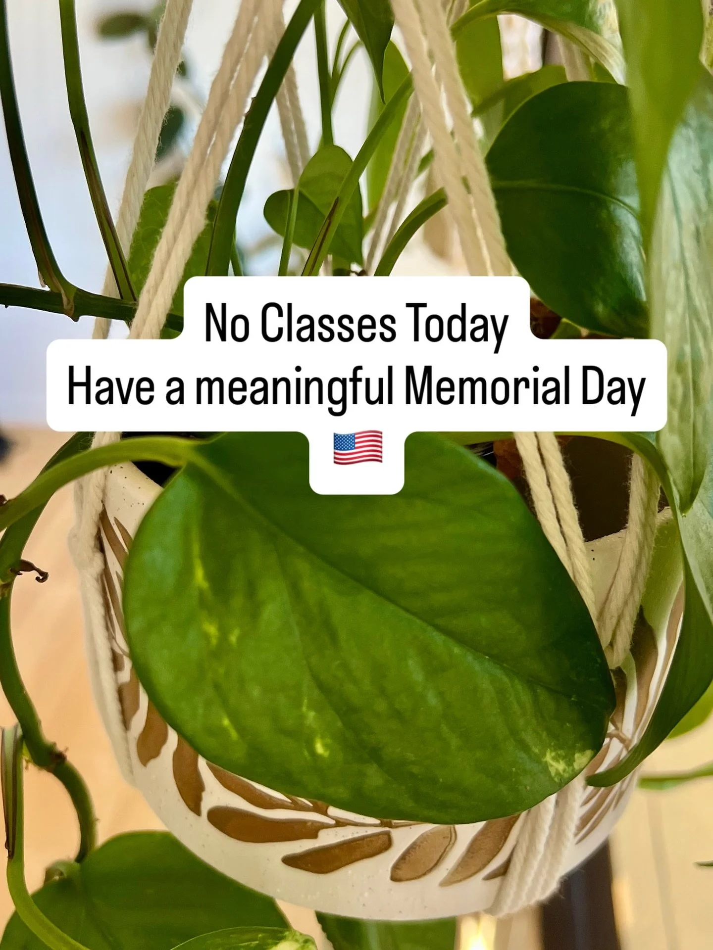 No classes on Memorial Day 🇺🇸

Wishing you a meaningful day with loved ones&mdash;we&rsquo;ll see you back at the studio soon. 🤍