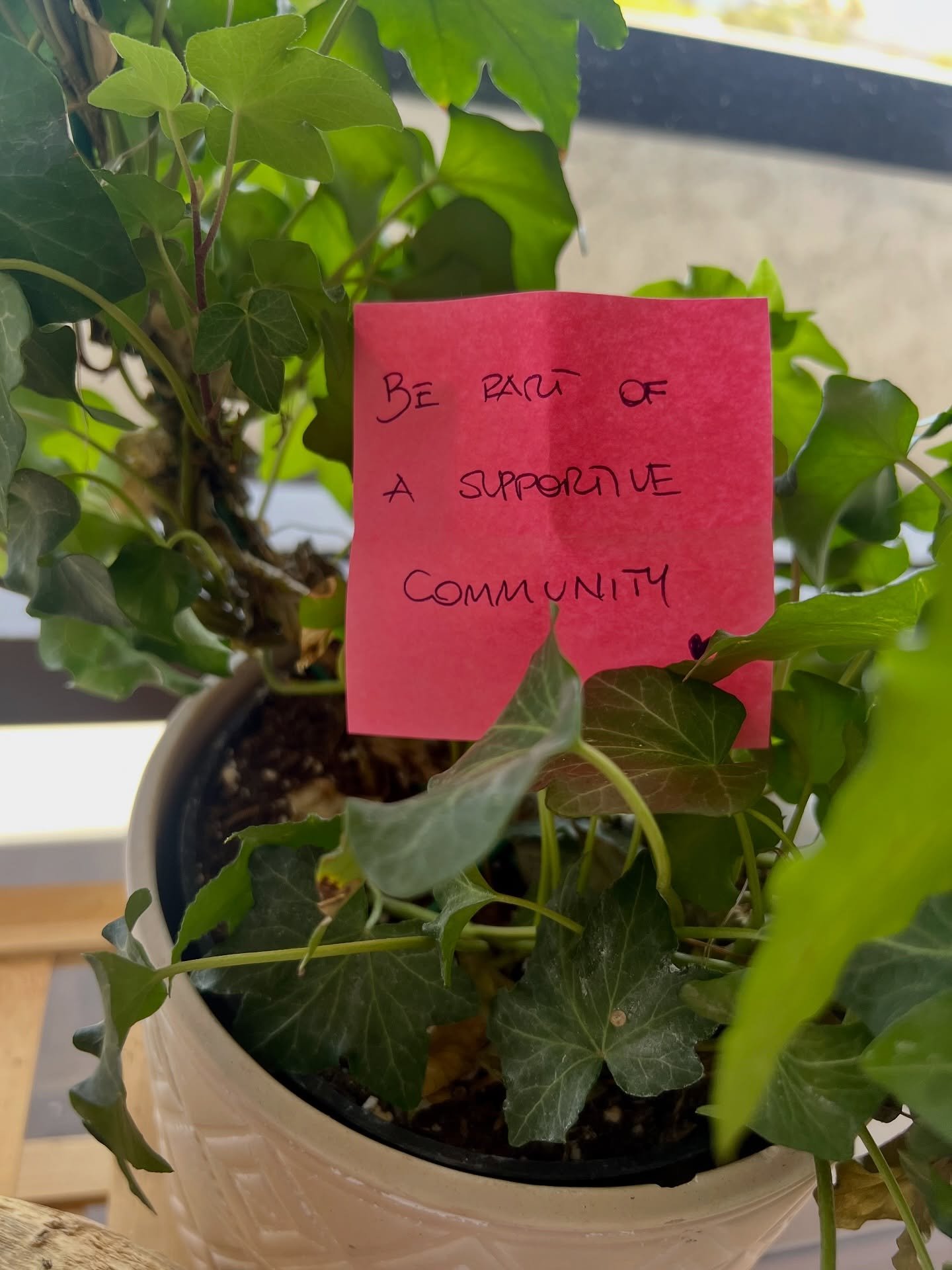 We love this supportive community SO much! Grateful for each of you! 🥰

We are looking forward to some fun studio workshops and events coming soon! Keep an eye out for the fun things! 

#TheYogaStudio #CamarilloYoga