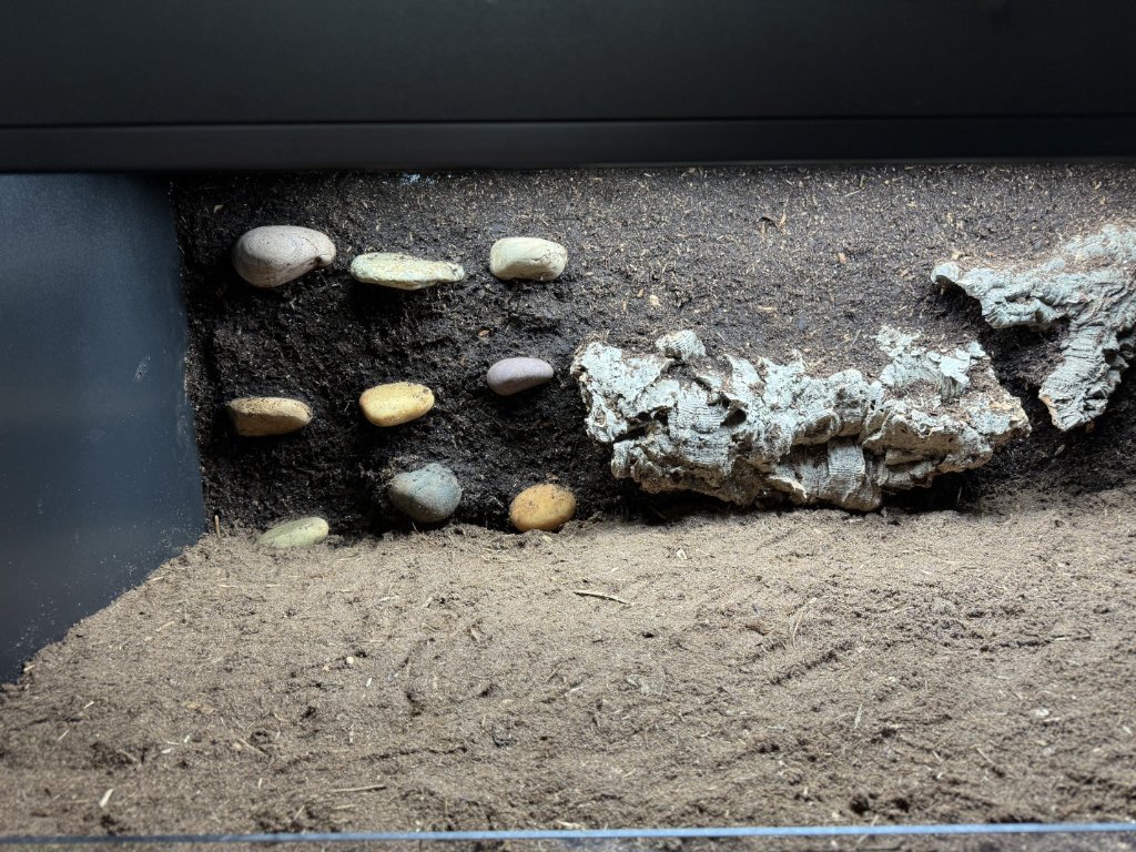 Substrate and Background.jpg