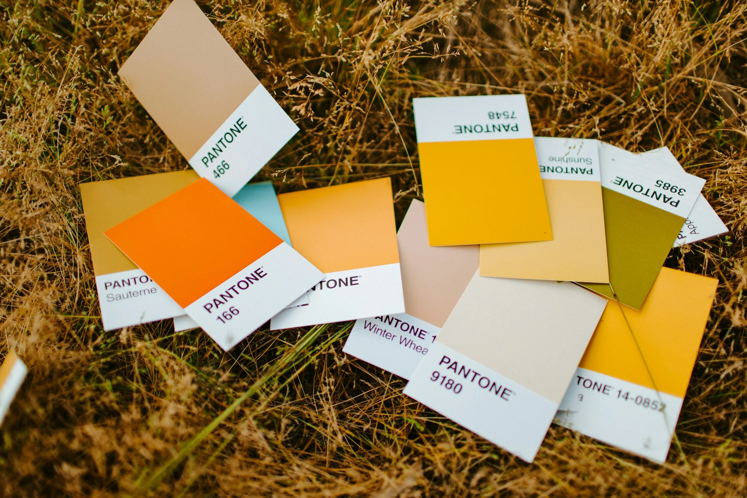 What a Colour Consultant Actually Does
