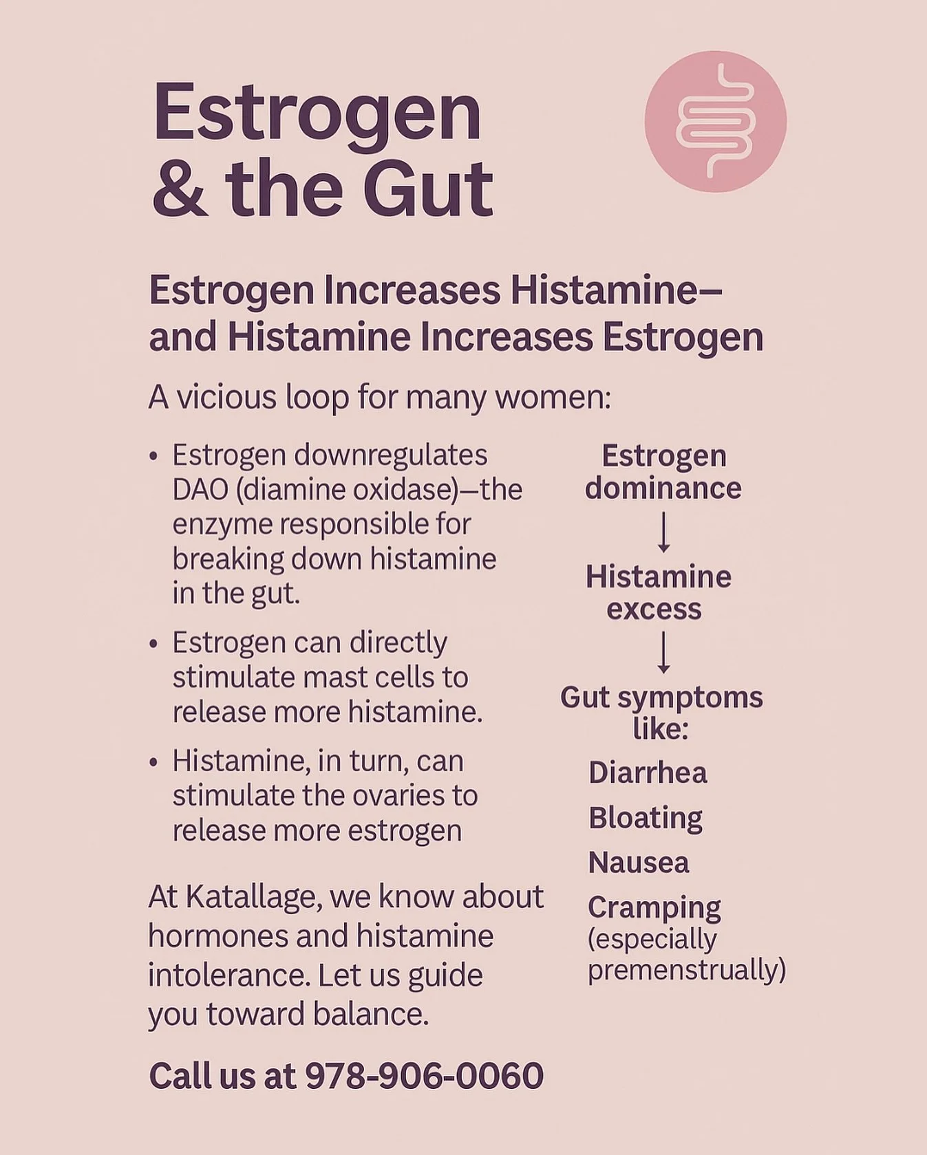 🌸 Estrogen &amp; the Gut: Elegant&mdash;but Unruly When Imbalanced

Estrogen is a key player in gut-brain-immune health&mdash;but too much of it, especially when unopposed by progesterone or poorly metabolized, can create a vicious cycle of inflamma