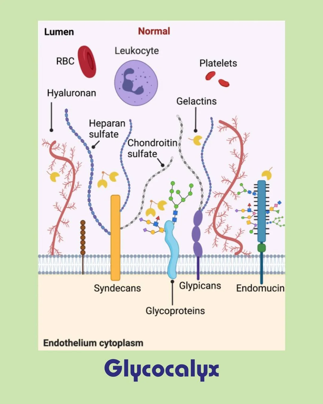 Ever wonder what is part of herbalism in Traditional Chinese Medicine?

Traditional Herbal Medicine utilizes ingredients from the animal, plant and mineral kingdoms to treat many different health conditions. 

All ingredients are collectively referre