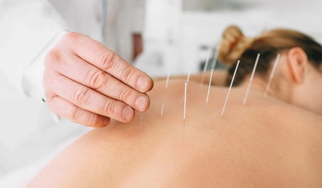 Ever wonder what is part of herbalism in Traditional Chinese Medicine? 

Traditional Herbal Medicine utilizes ingredients from the animal, plant and mineral kingdoms to treat many different health conditions. 

All ingredients are collectively referr