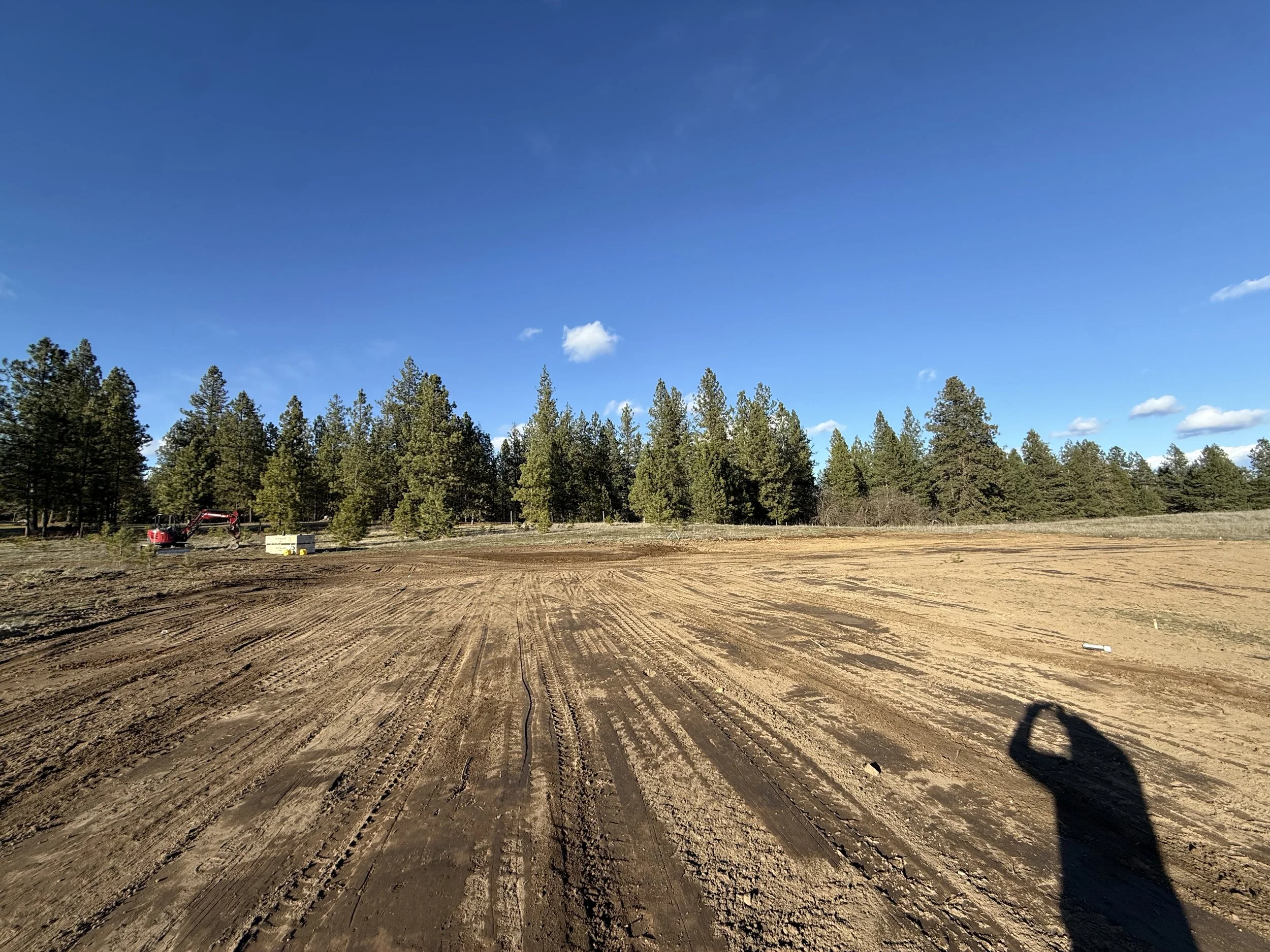 A wide view of a dirt or gravel construction site with tire tracks, surrounded by a dense forest of tall pine trees, under a bright blue sky with a few scattered clouds.