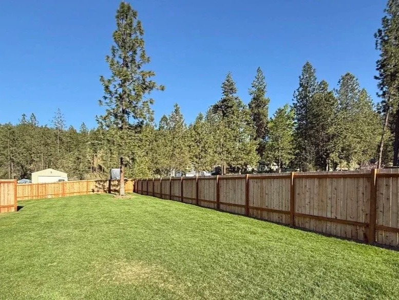 A backyard with green grass, wooden fence, and tall trees under a clear blue sky.