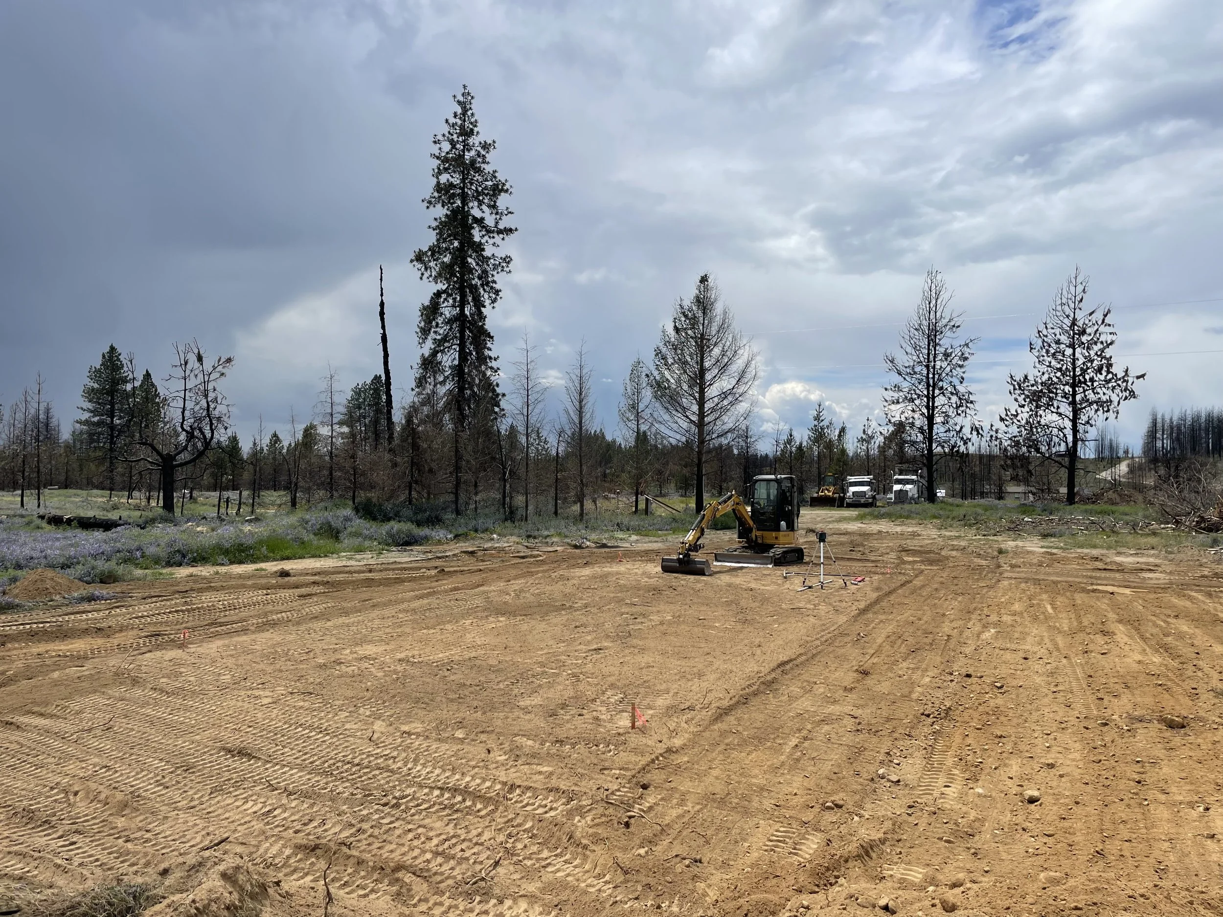 A landscape of a cleared forest with a few remaining burnt trees, construction equipment, and construction vehicles in the distance under a cloudy sky.
