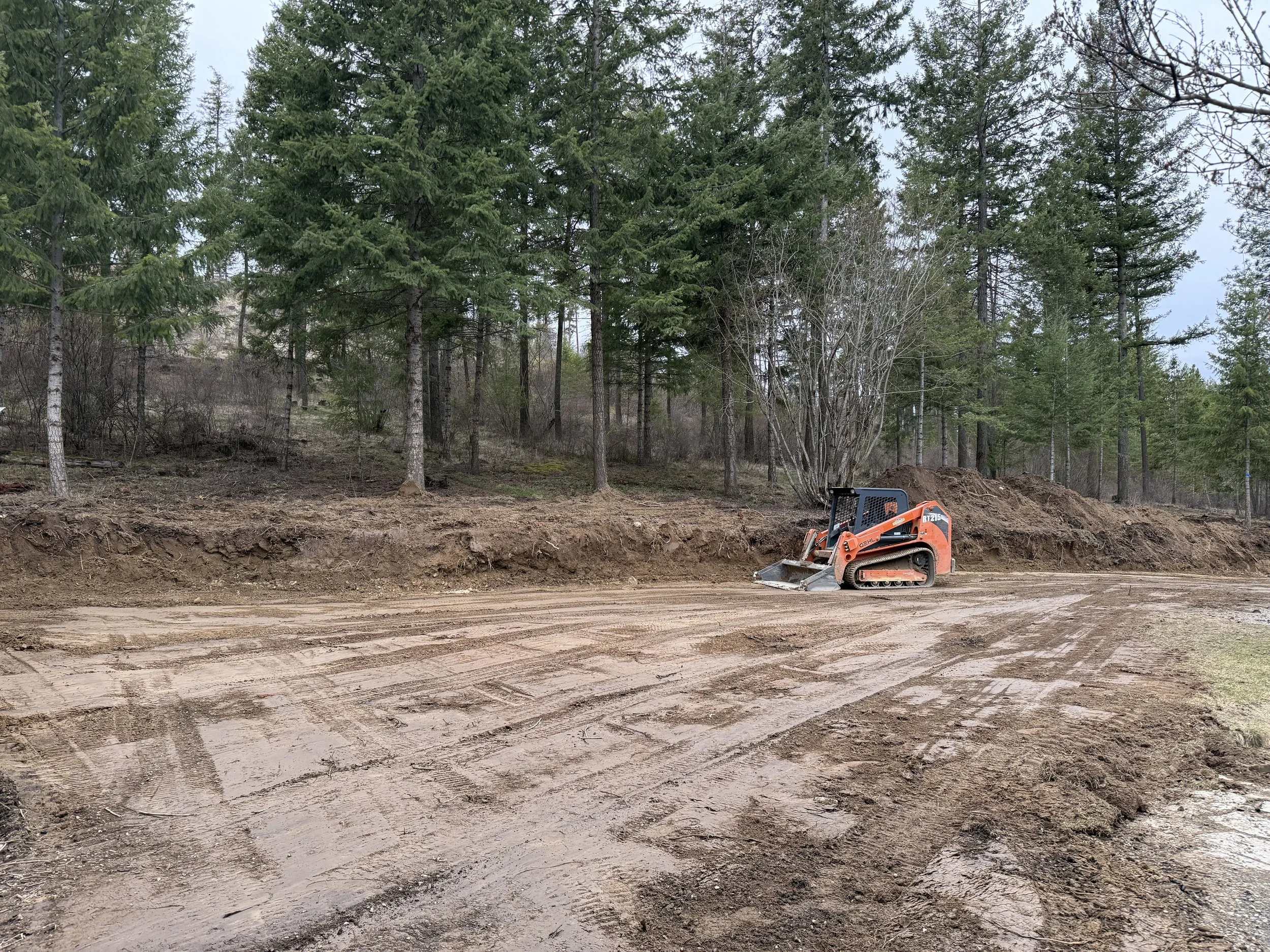 A construction site in a forested area with tall pine trees and a small orange and black compact track loader moving soil, with tire tracks and disturbed earth in the foreground.