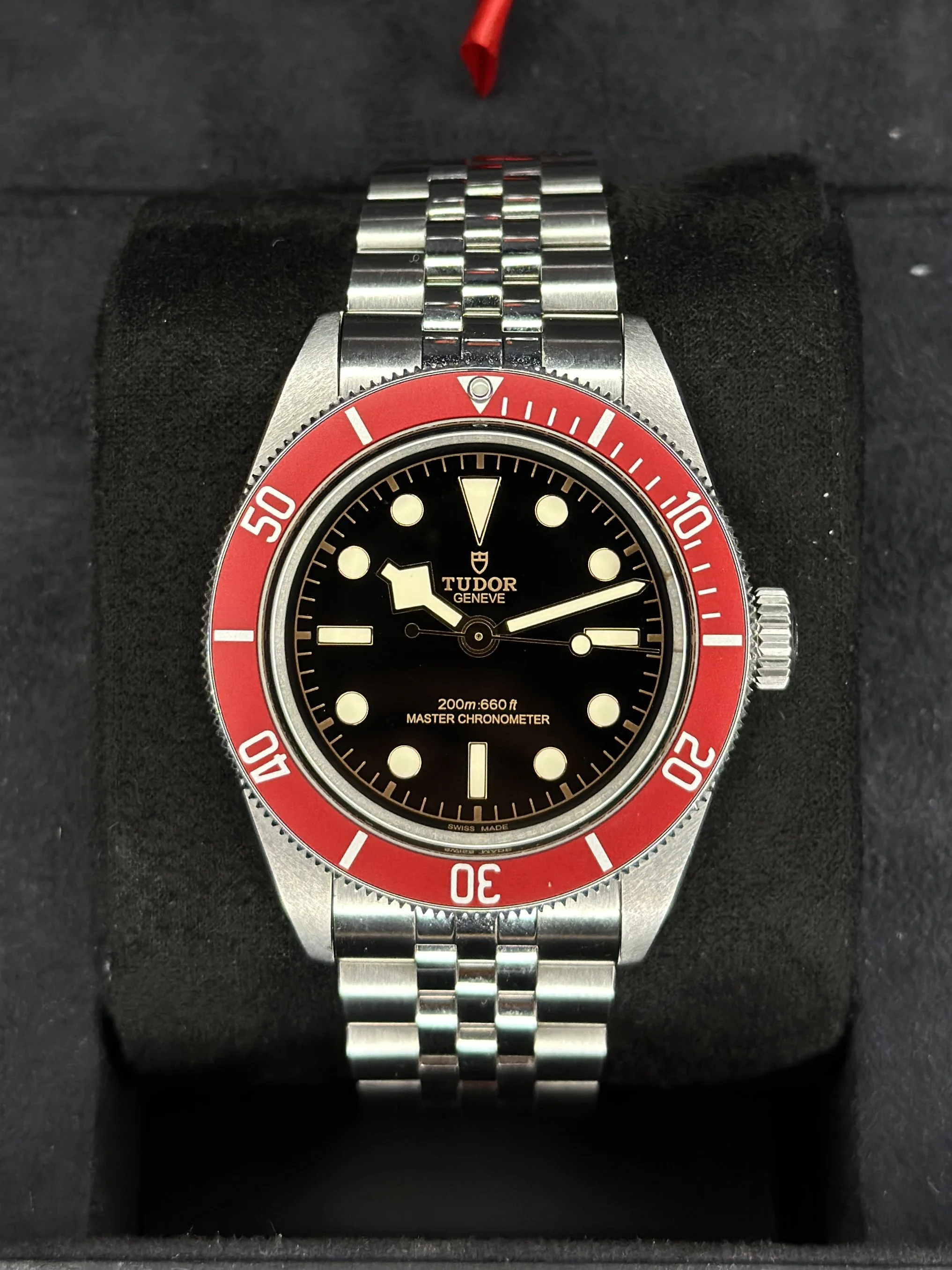 Tudor Black Bay