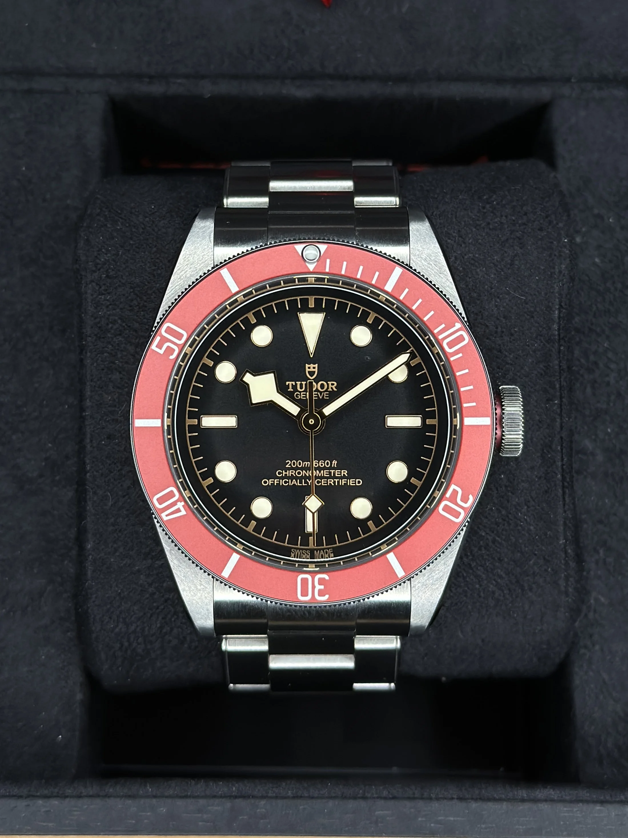 Tudor Black Bay