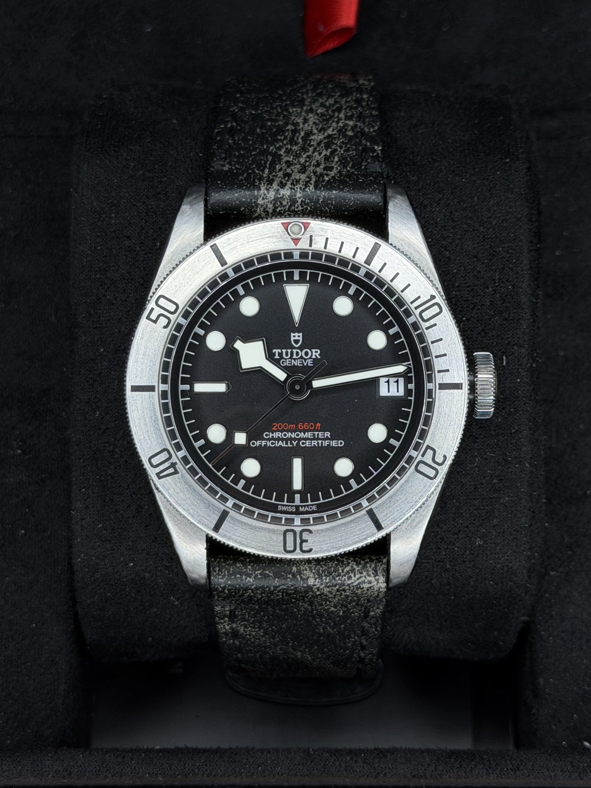 Tudor Black Bay