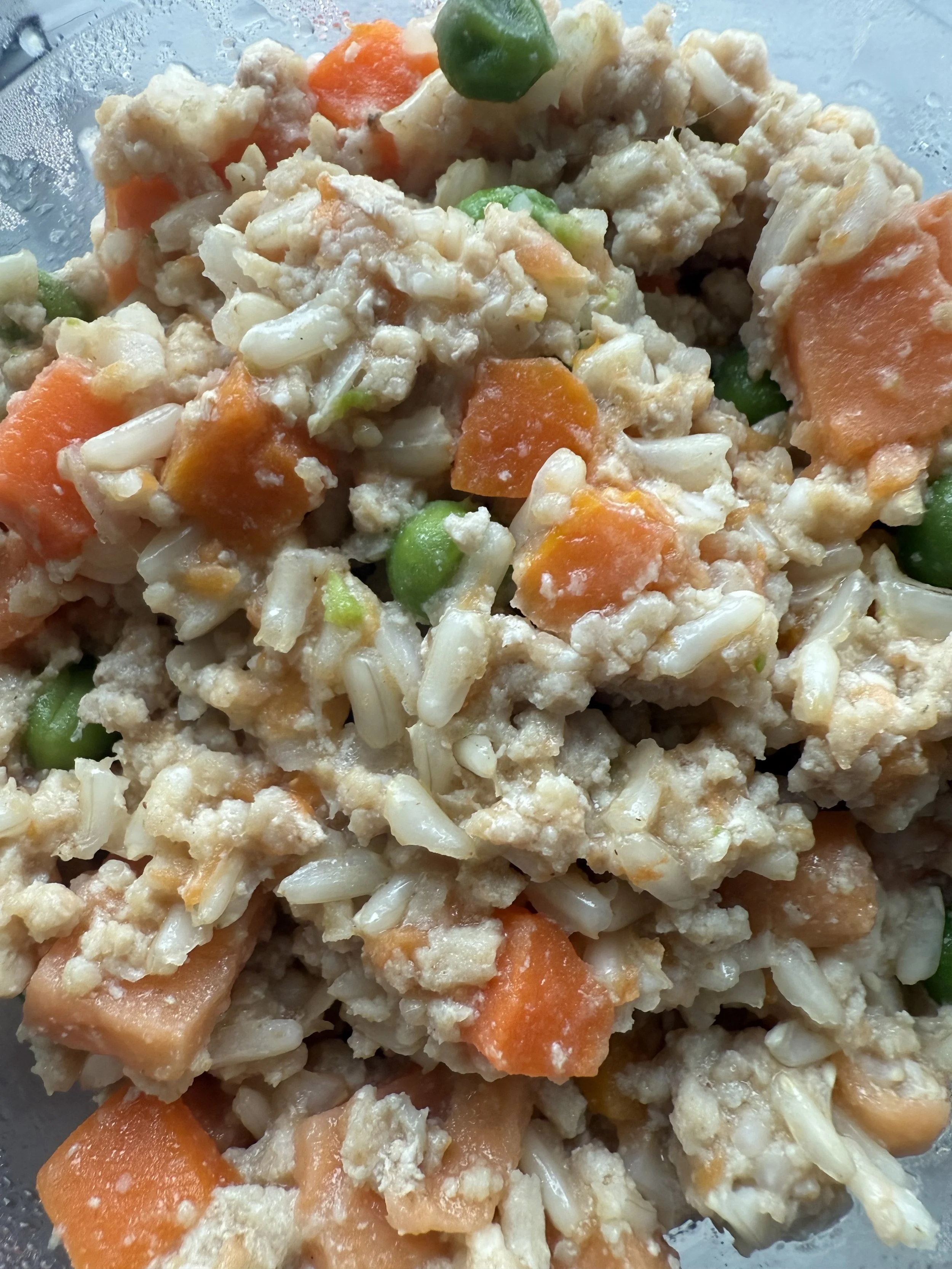 IMG_7016.jpg (Copy) (Copy)