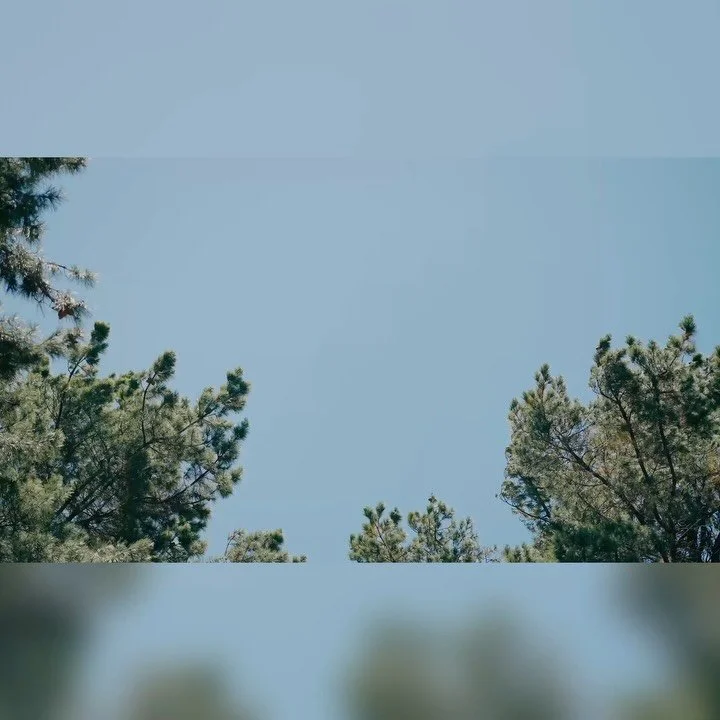 Bri + Ryan 🇺🇸🥰 || 

This epic elopement went down via I Do Drive Thru late last year, proving that love doesn&rsquo;t need a ballroom, just the right person and a very memorable setting. ☺️😘

While Bri &amp; Ryan tied the knot here, their family 