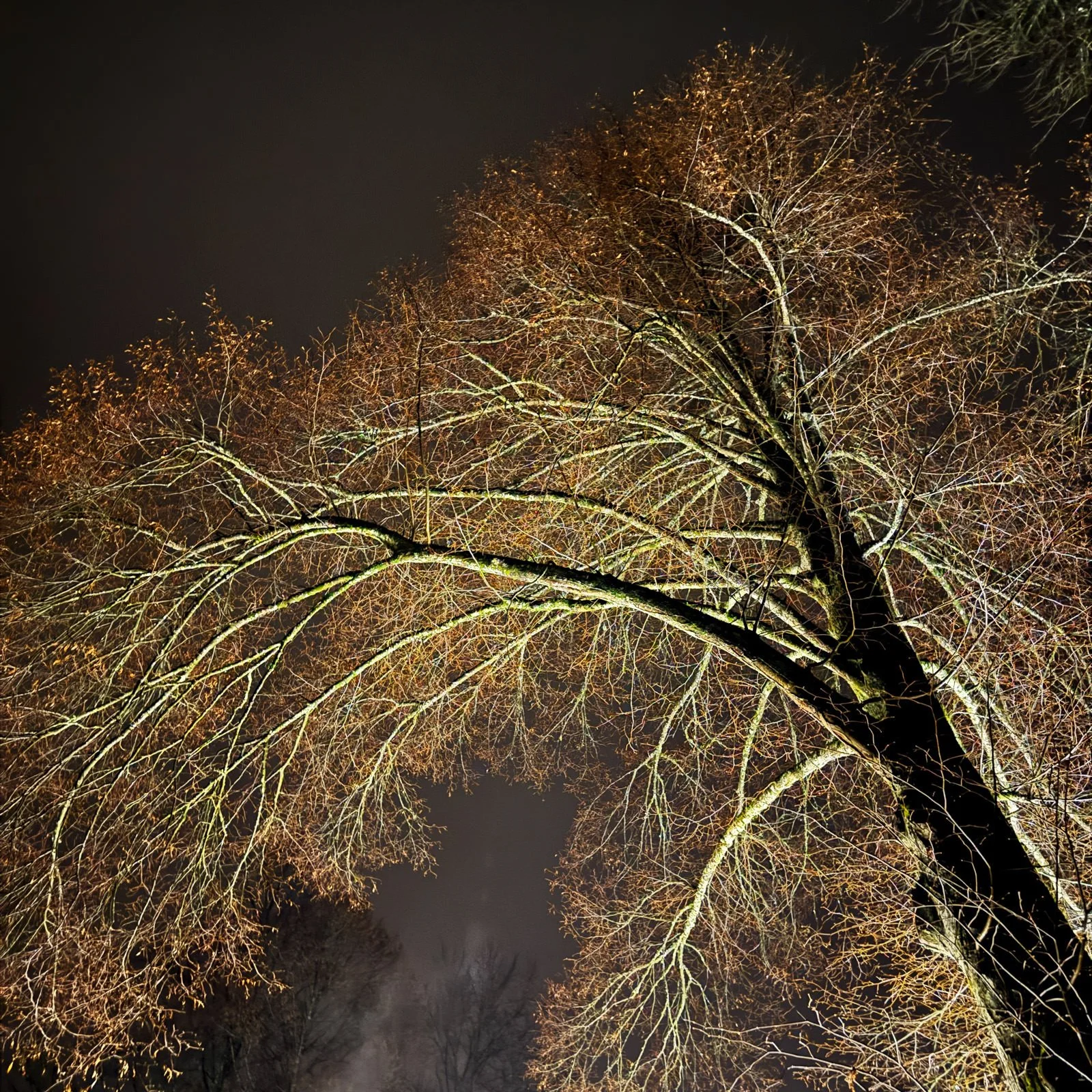 20260314-burgdorf-35-mike-flam-IMG_4258sq.jpg
