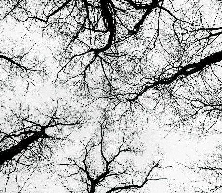 The Three Pillars of Recovery (And How They Compound)