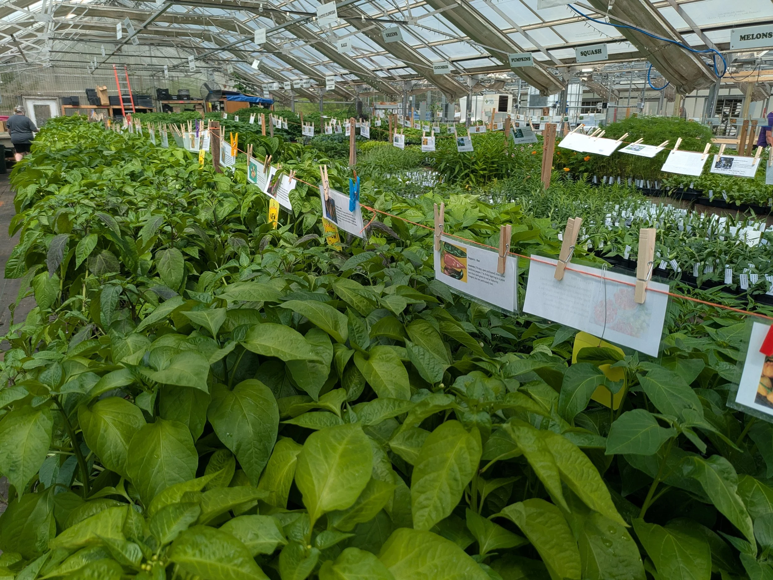 Plant Sale