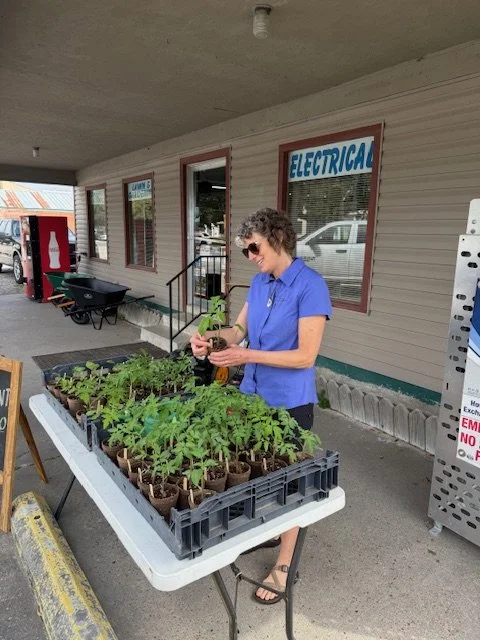 Seasonal Shifts: Gardening Insights from the South