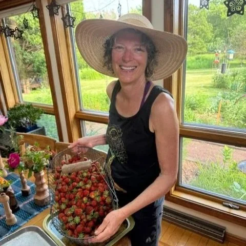 Strawberries, a Summer Treasure