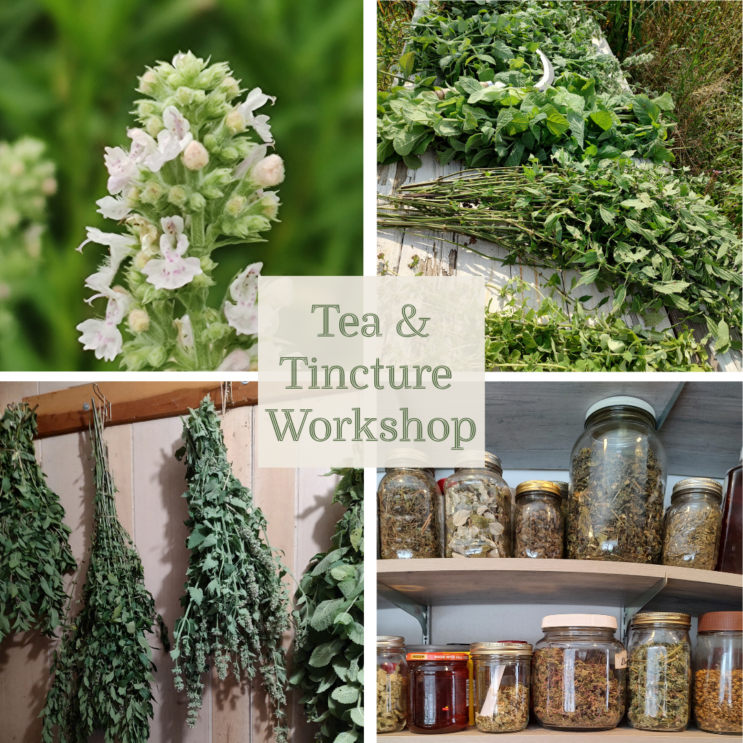 Tea & Tincture Workshop