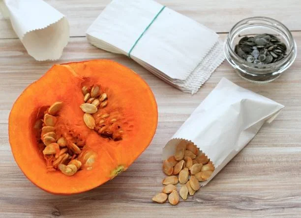 Saving Seeds for Next Year’s Garden