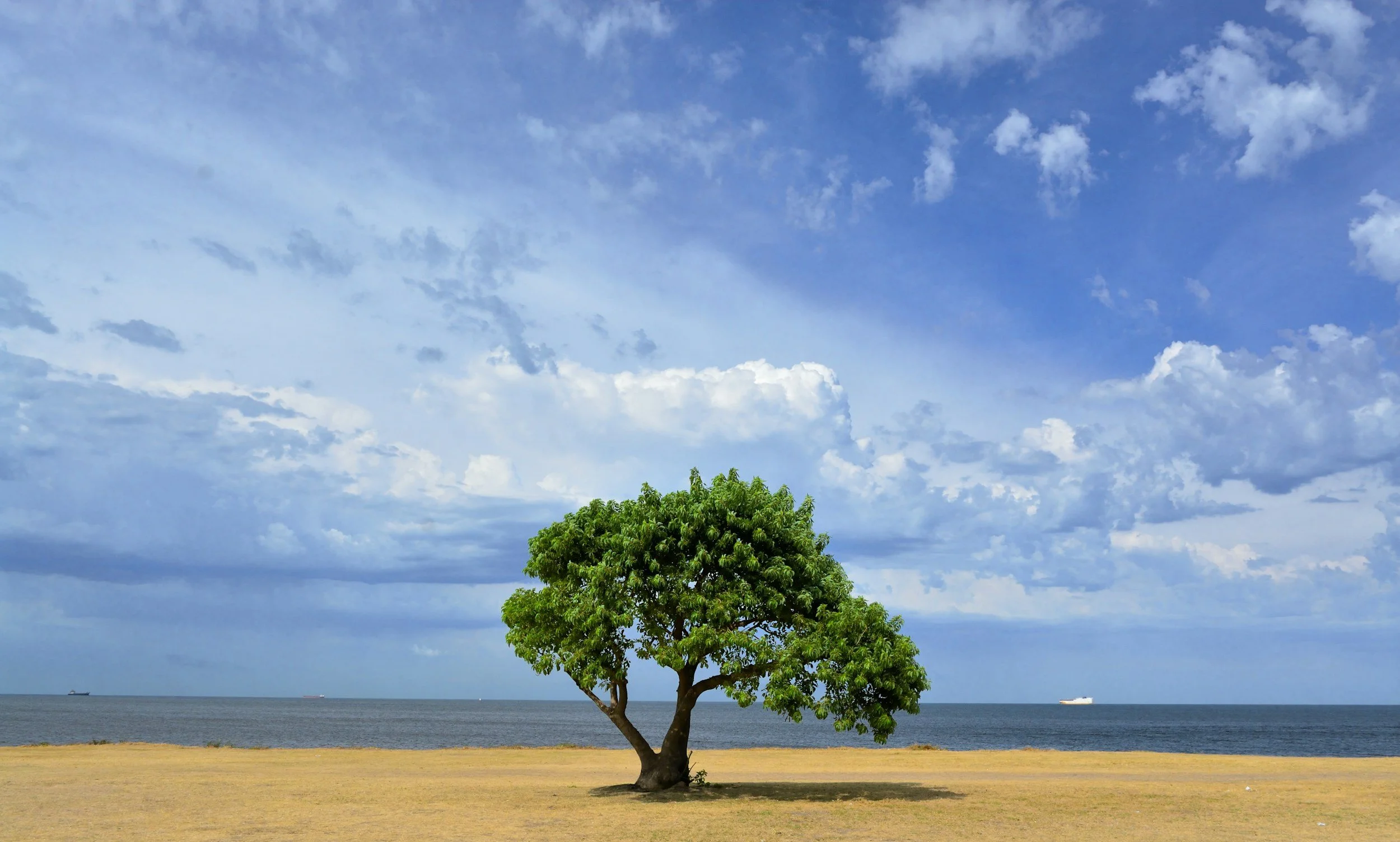 Is a network a good strategic investment for your law firm?