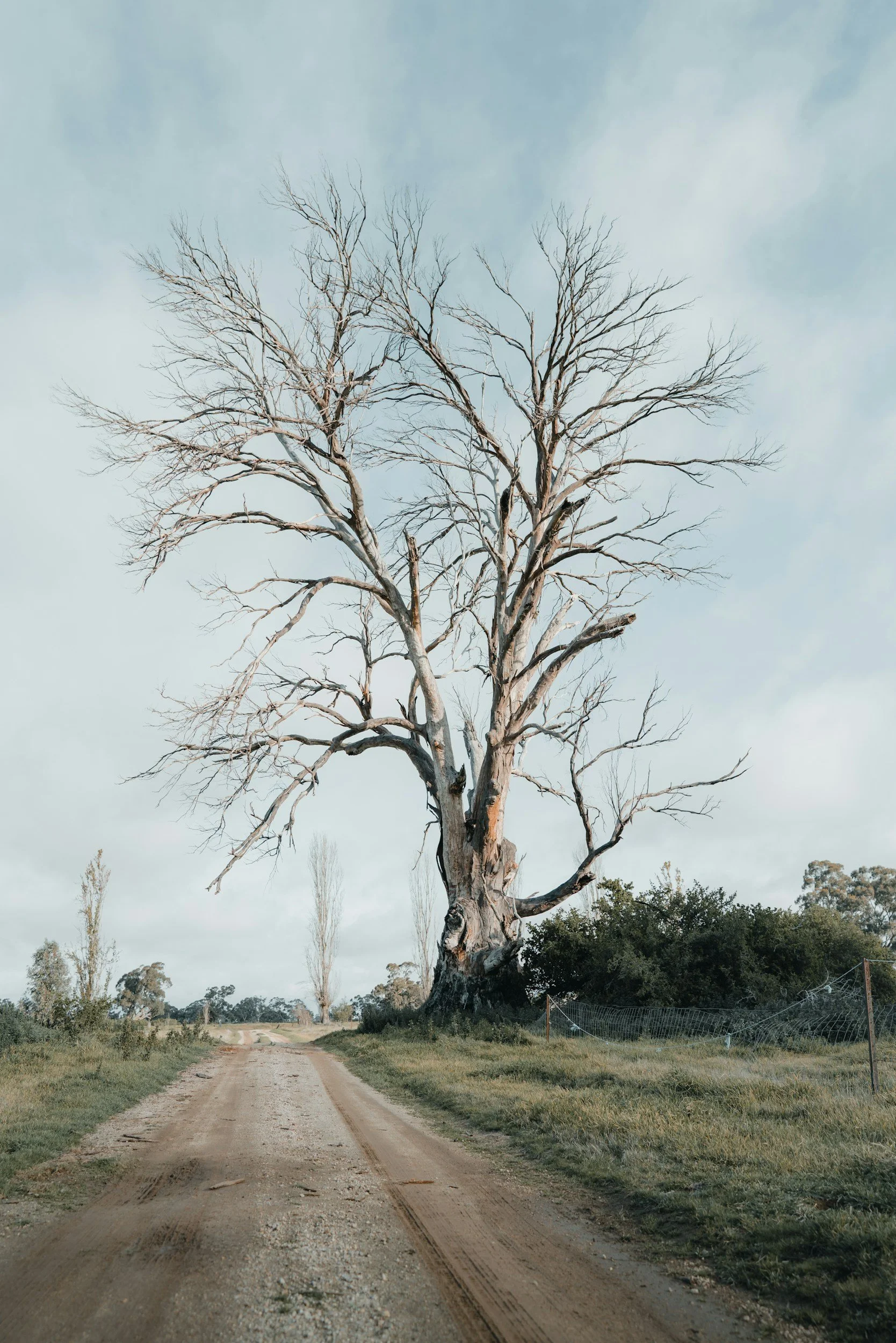 Can't deliver? Here are three possible reasons why.