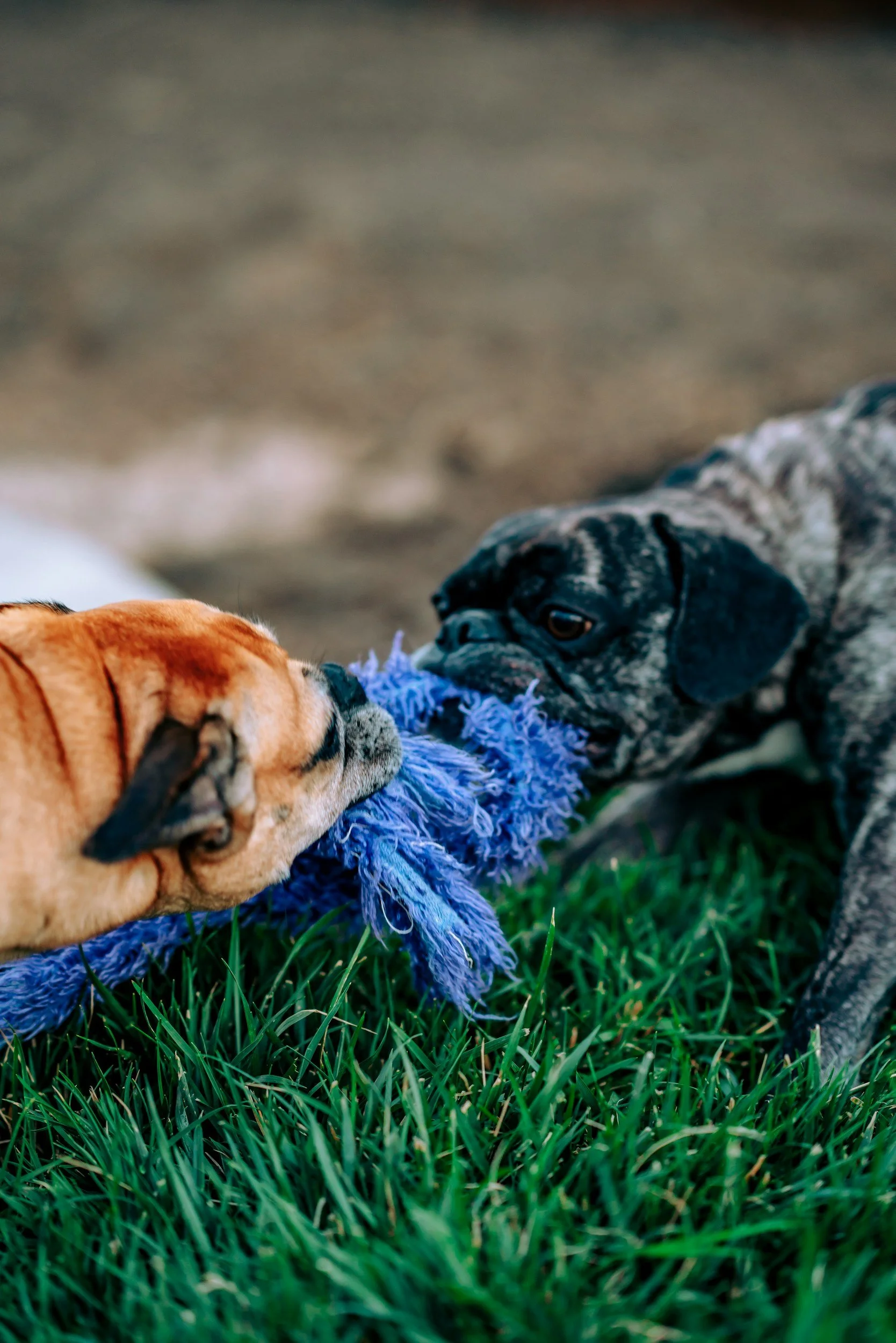 Getting Your Partners to Do the Right Thing