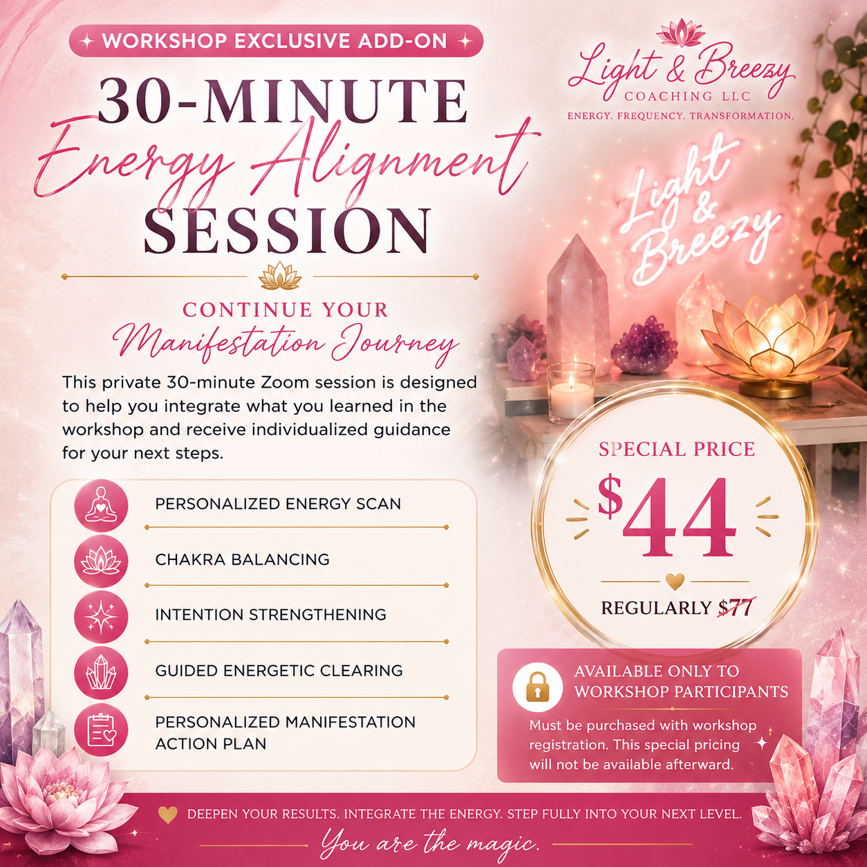 ✨ Workshop Exclusive: VIP Integration Session (30 Minutes) — Save $55