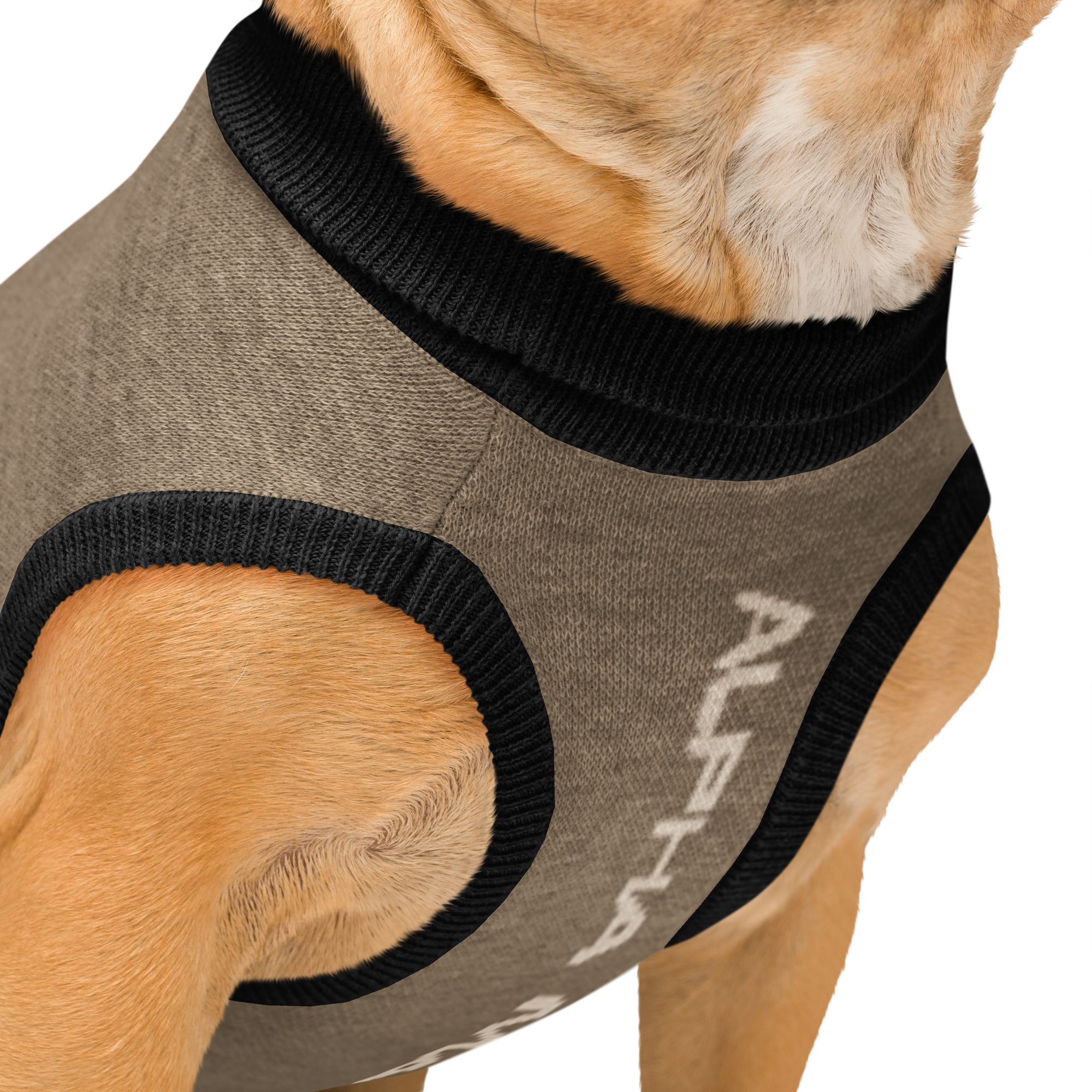 knitted-pet-sweater-custom-m-product-details-6abb4df2a0046.png