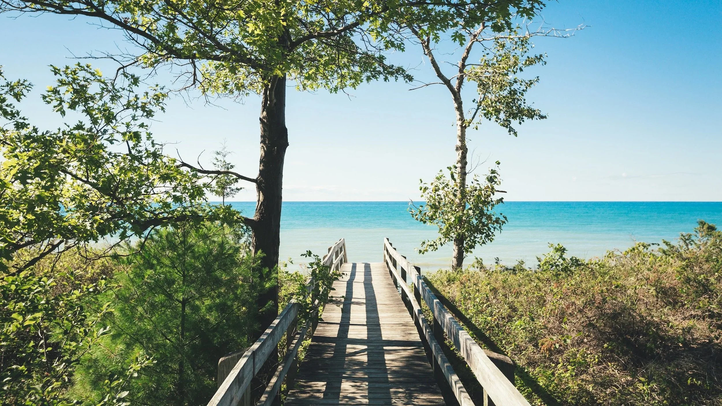 A wooden walkway leading to a beach with blue water and a clear sky, surrounded by green trees and bushes.