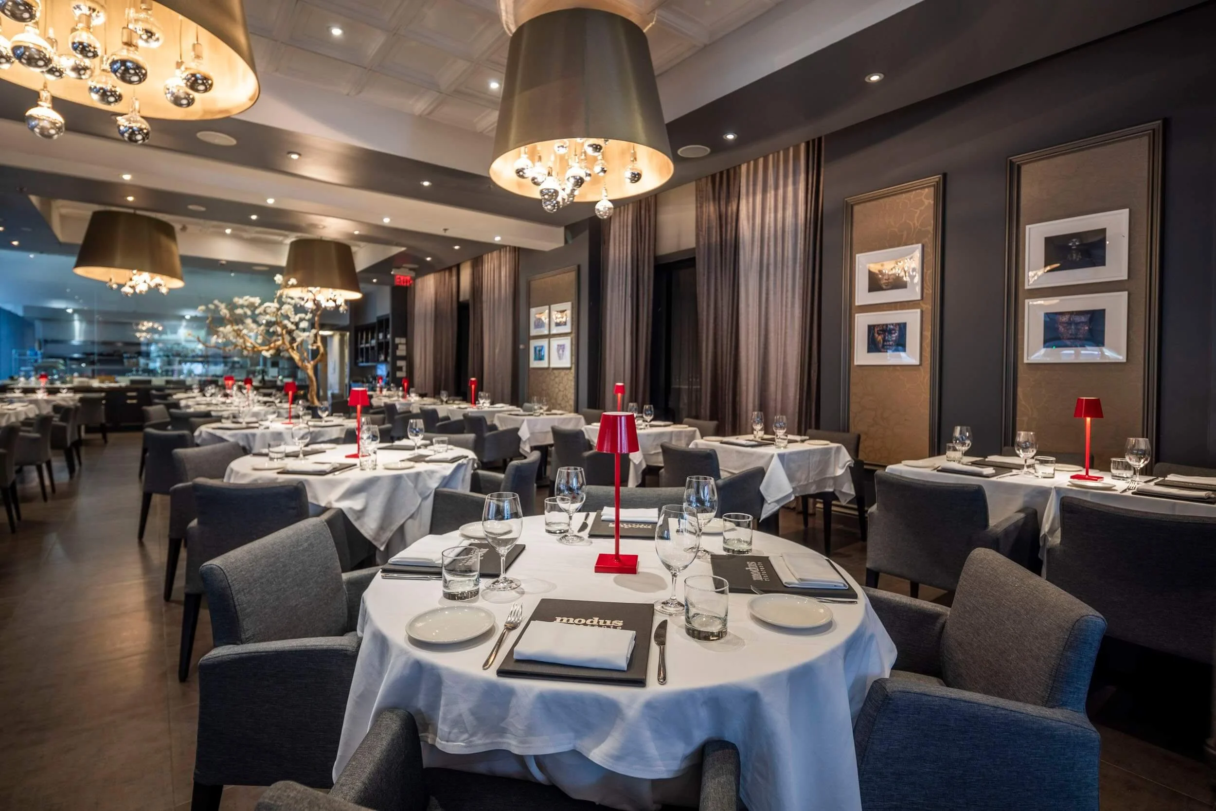 Modus Ristorante | Modern Italian Dining in Downtown Toronto