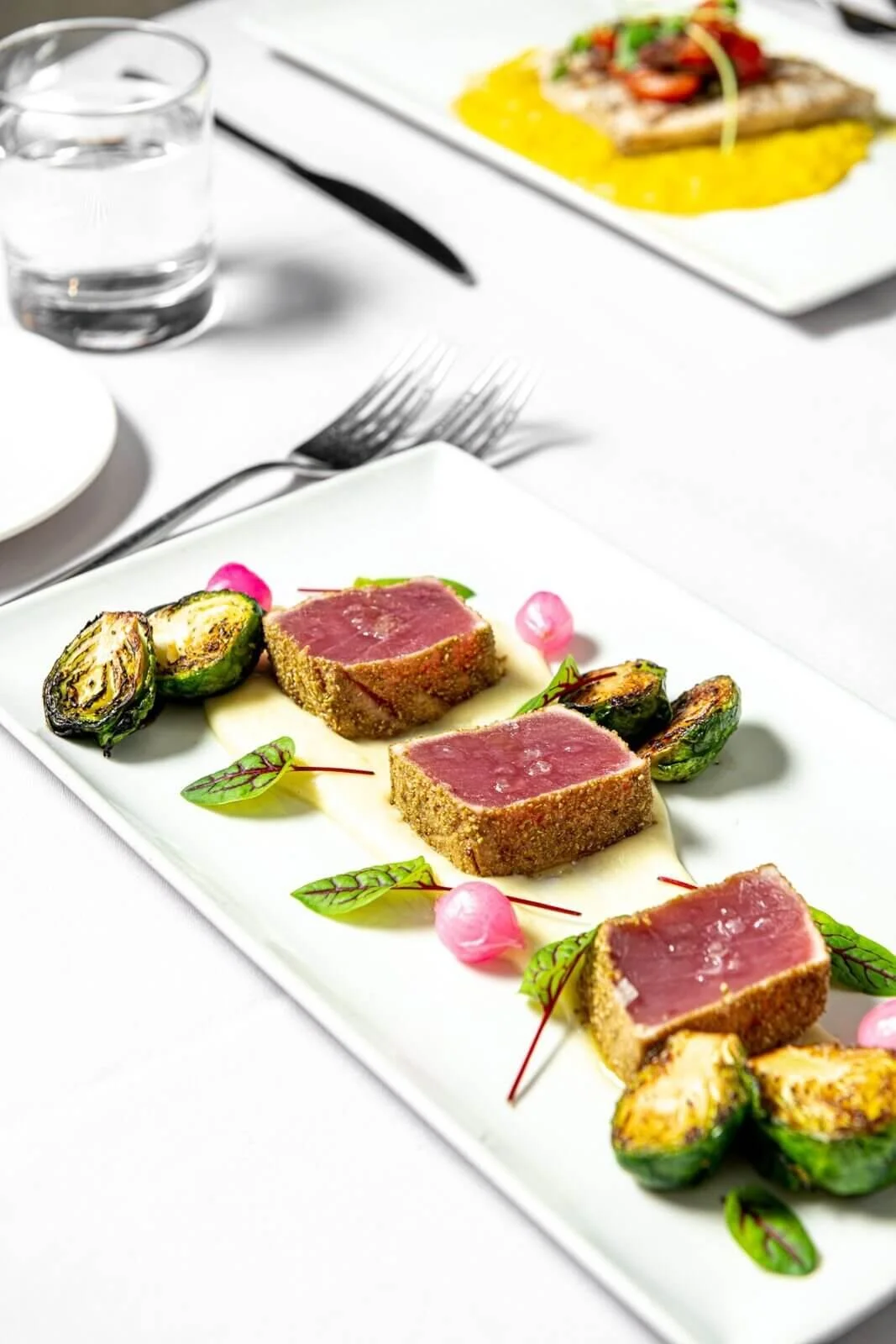 Modus Ristorante | Modern Italian Dining in Downtown Toronto